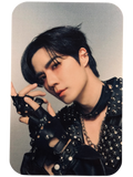 Zee Crazy in Love Photocard