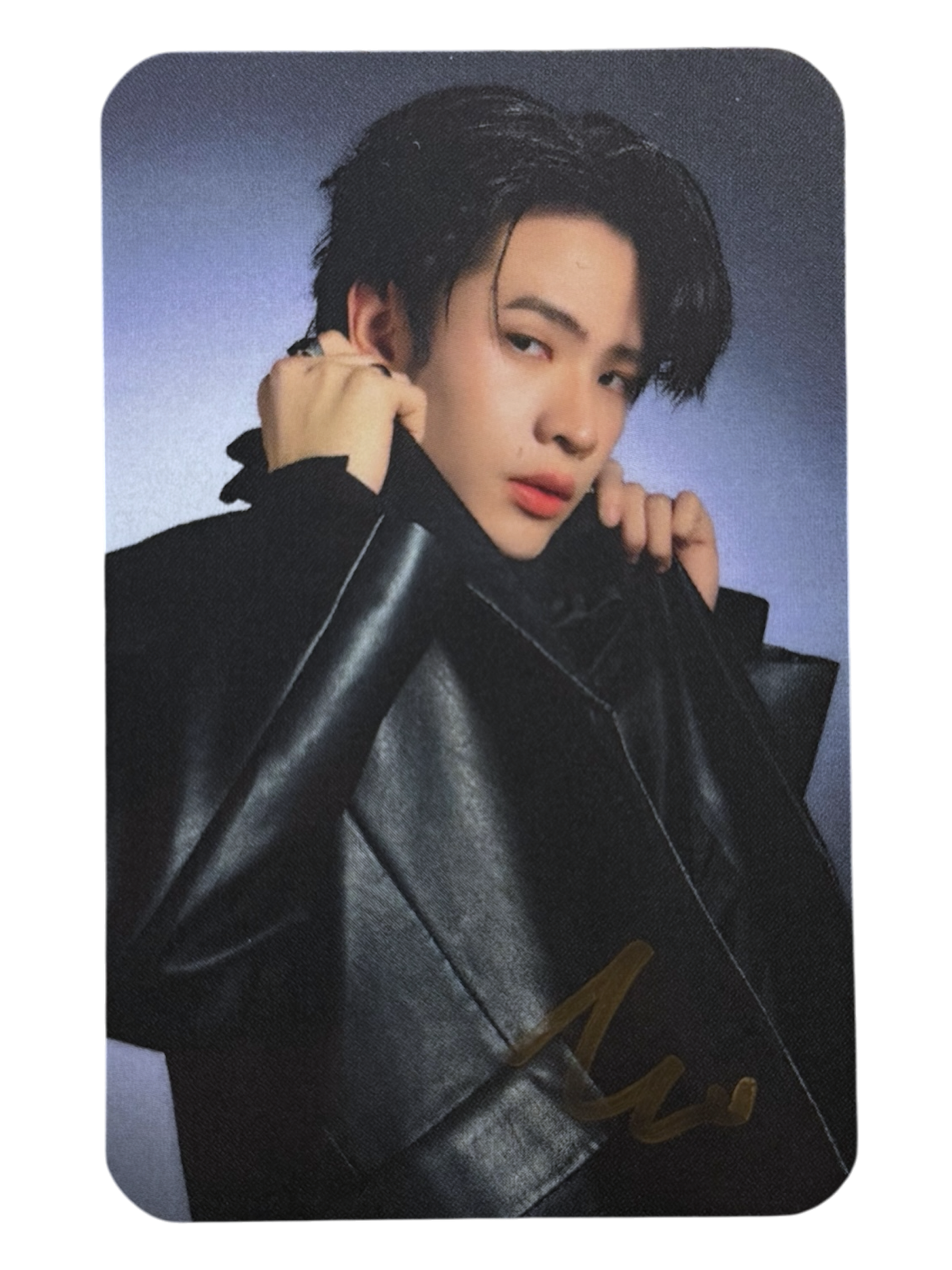 Domundi Land 3 Signed Photocard