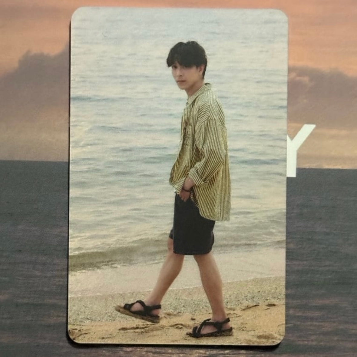 Tommy Mr. Sea Photocard