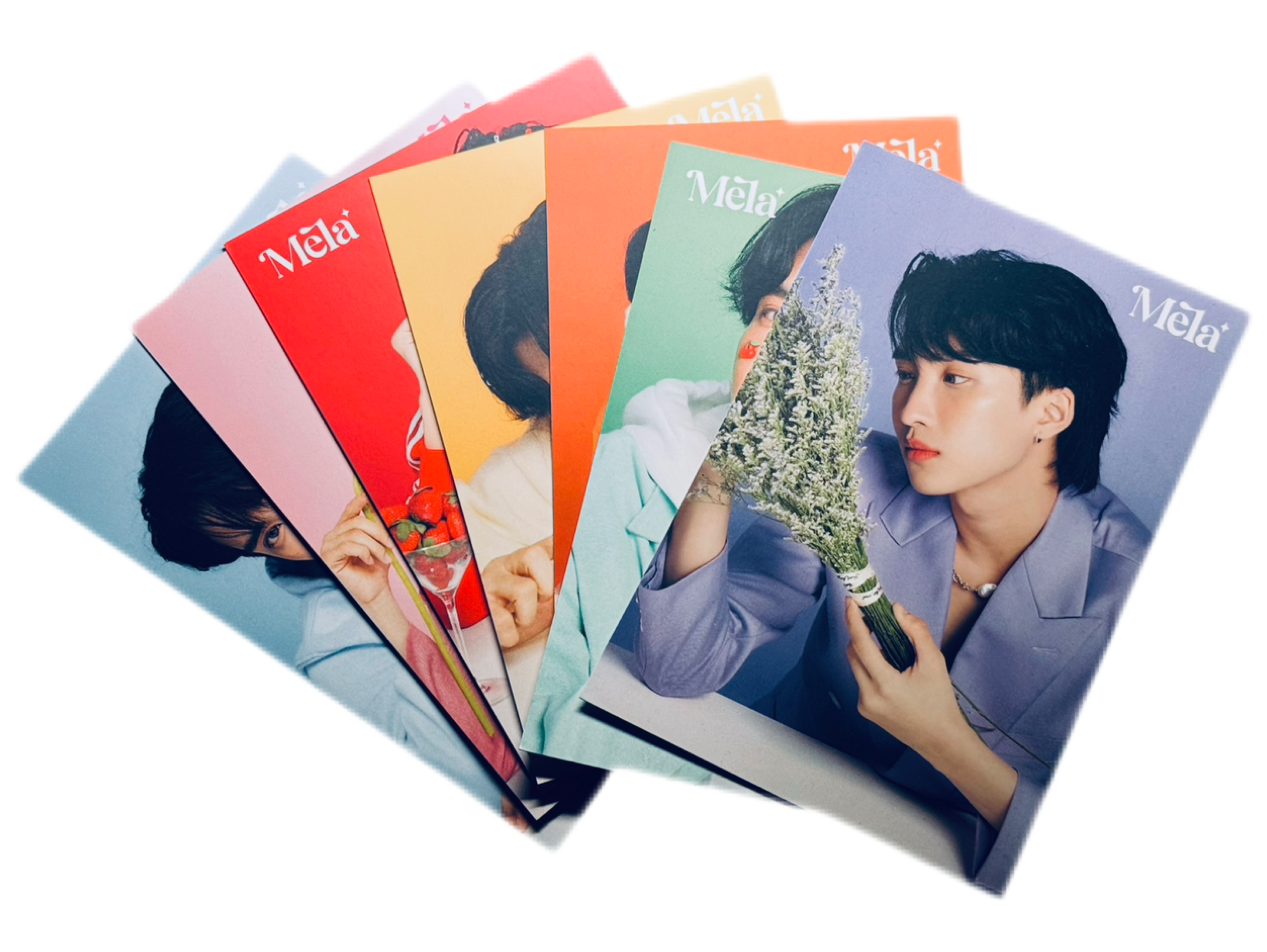 Noeul Mela Postcard Set