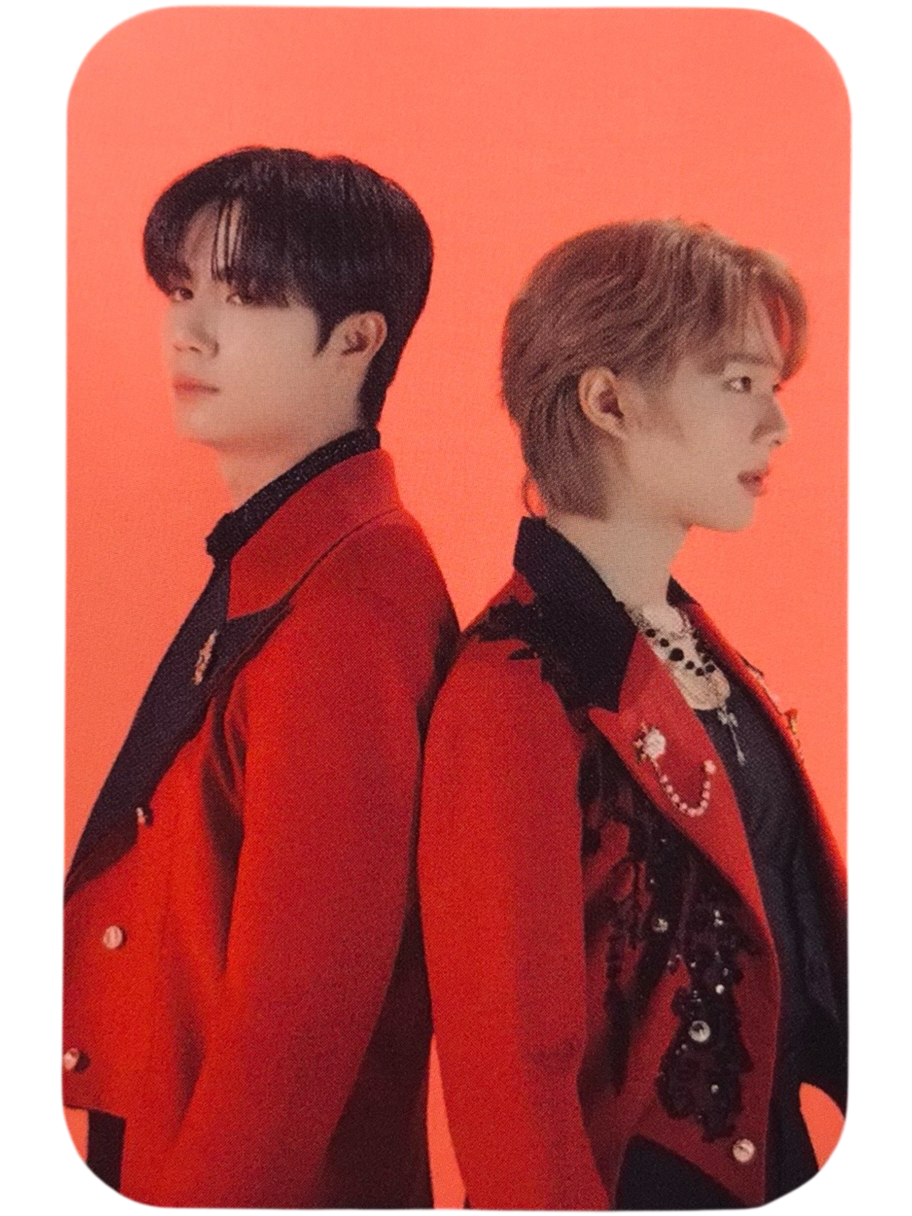 ZeeNunew Crazy in Love Photocard