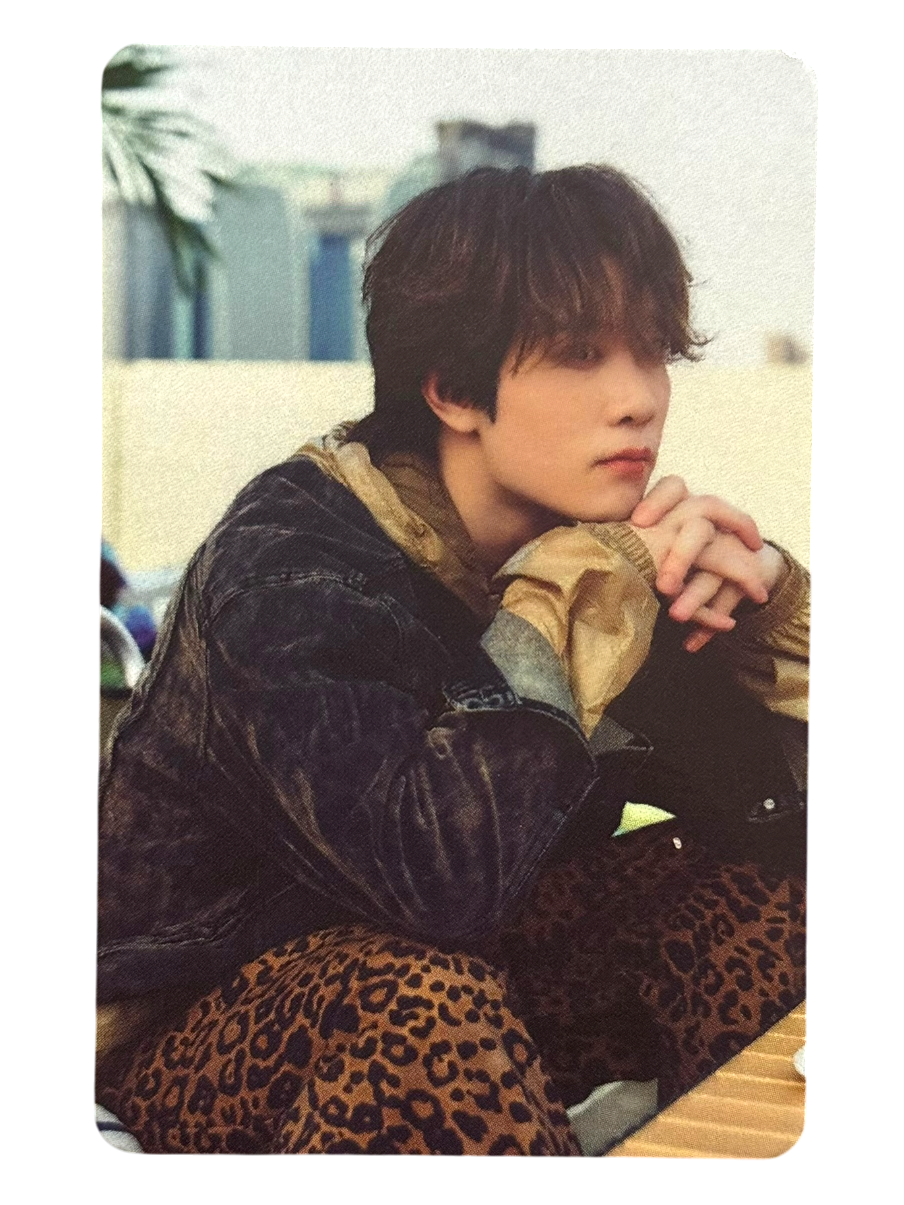 Yim Dexx Next Status Photocard