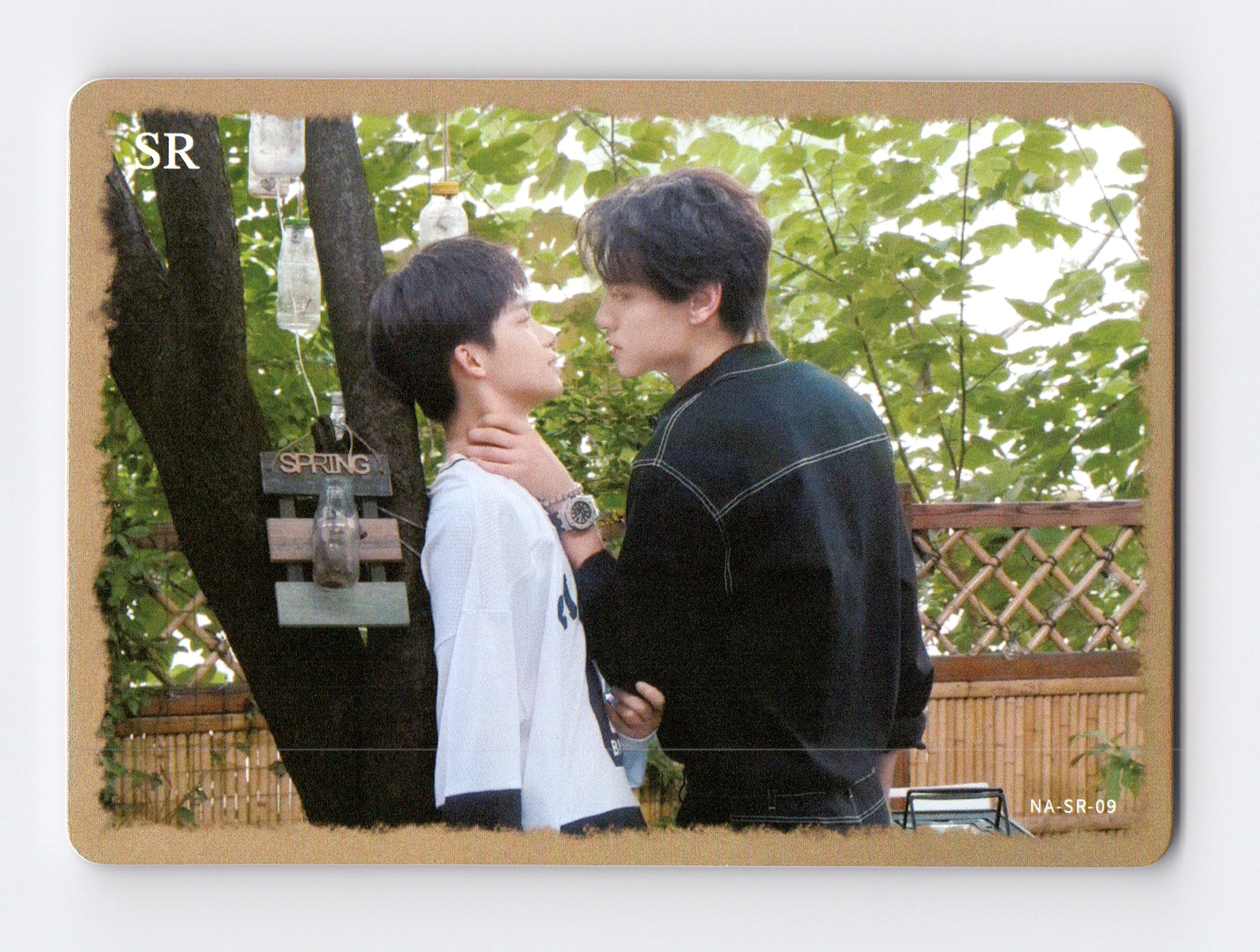 Revenged Love Photocard
