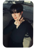 Zee Crazy in Love Set B Photocard