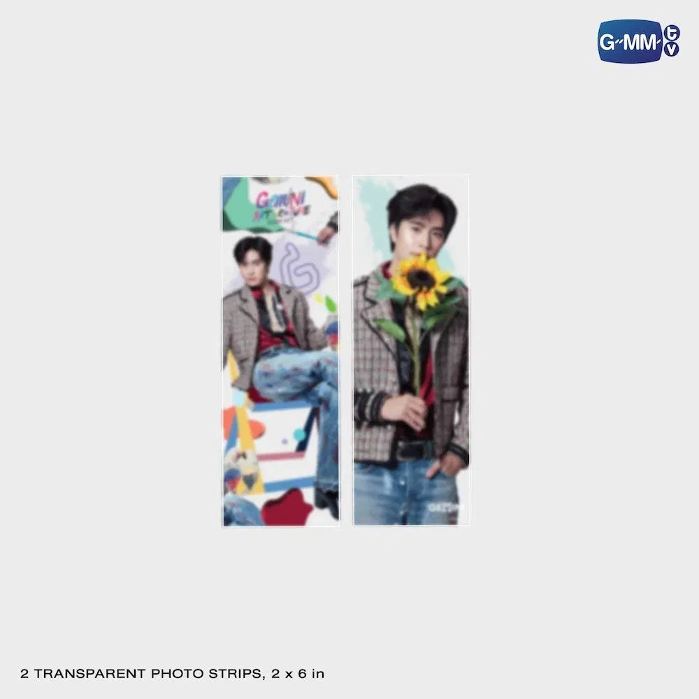 (Preorder) Gemini Artventure Transparent Photo Set