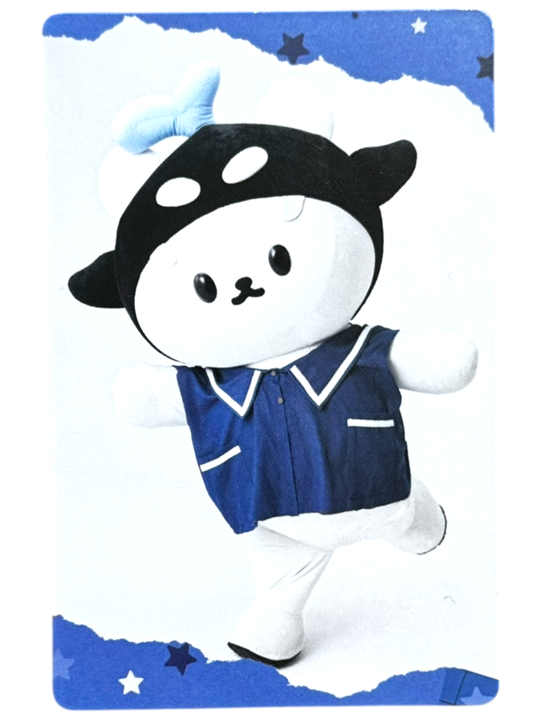 Polcasan Polca Fam Meeting Photocard