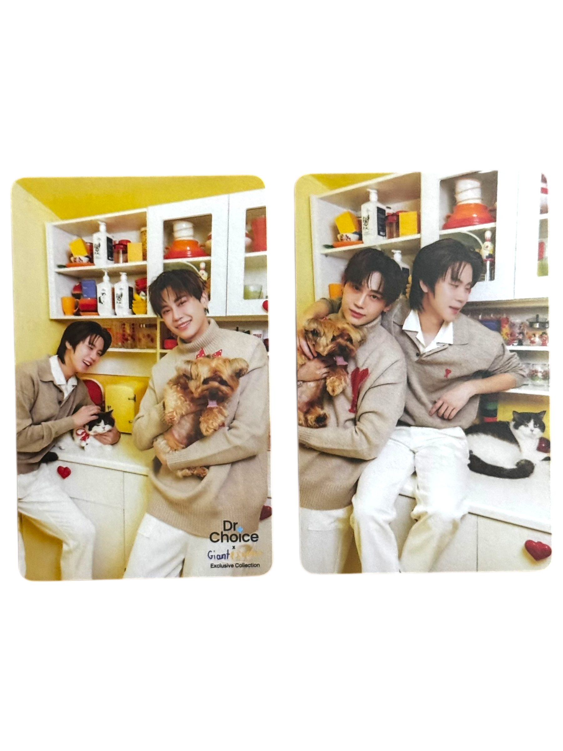 BounPrem Special Dr. Choice Photocard