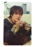 Yim Dexx Next Status Photocard