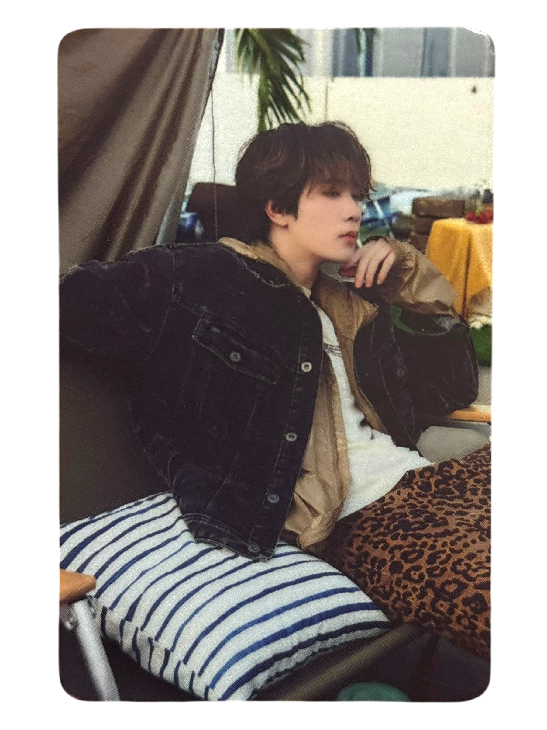 Yim Dexx Next Status Photocard