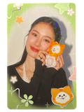 Milk Nagoya 2025 Photocard