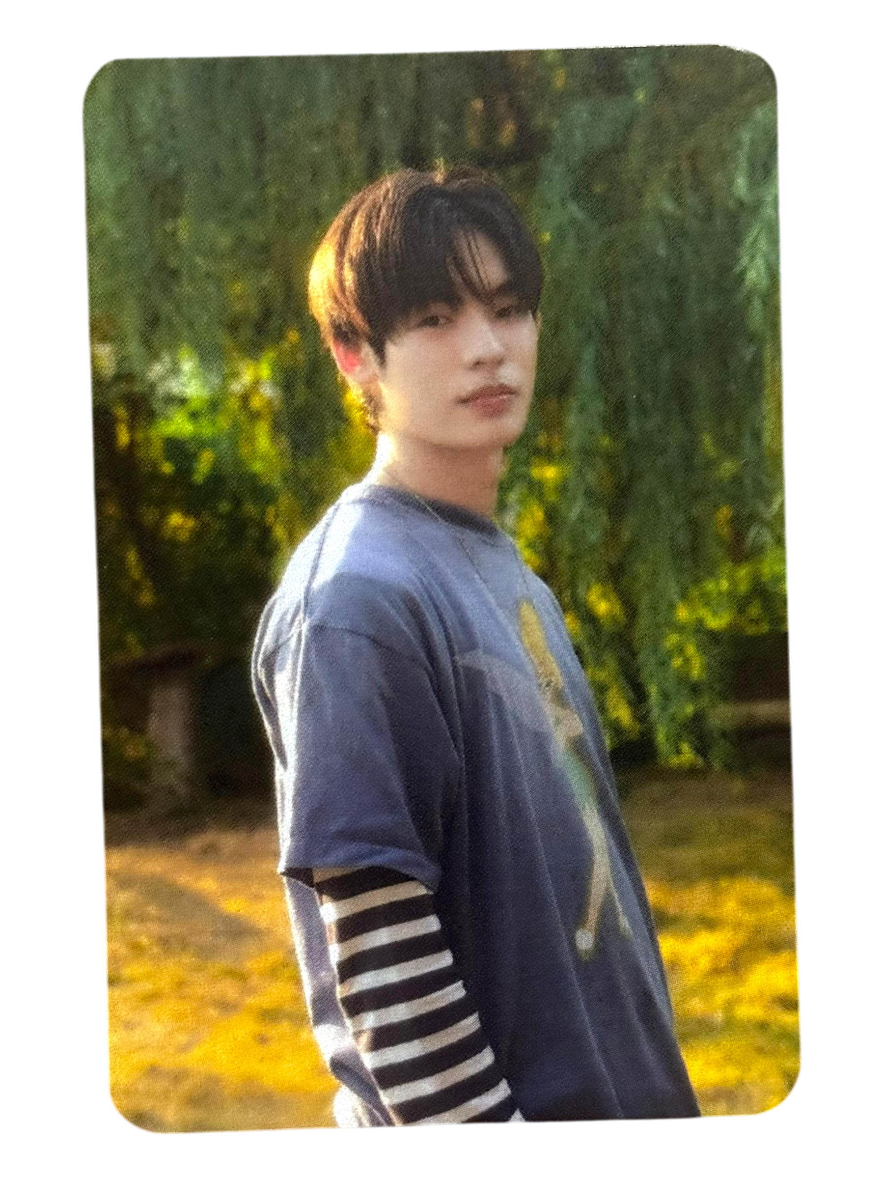 Por Take Our Time Photocard