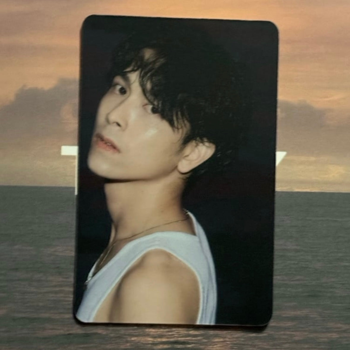 Tommy Mr. Sea Photocard