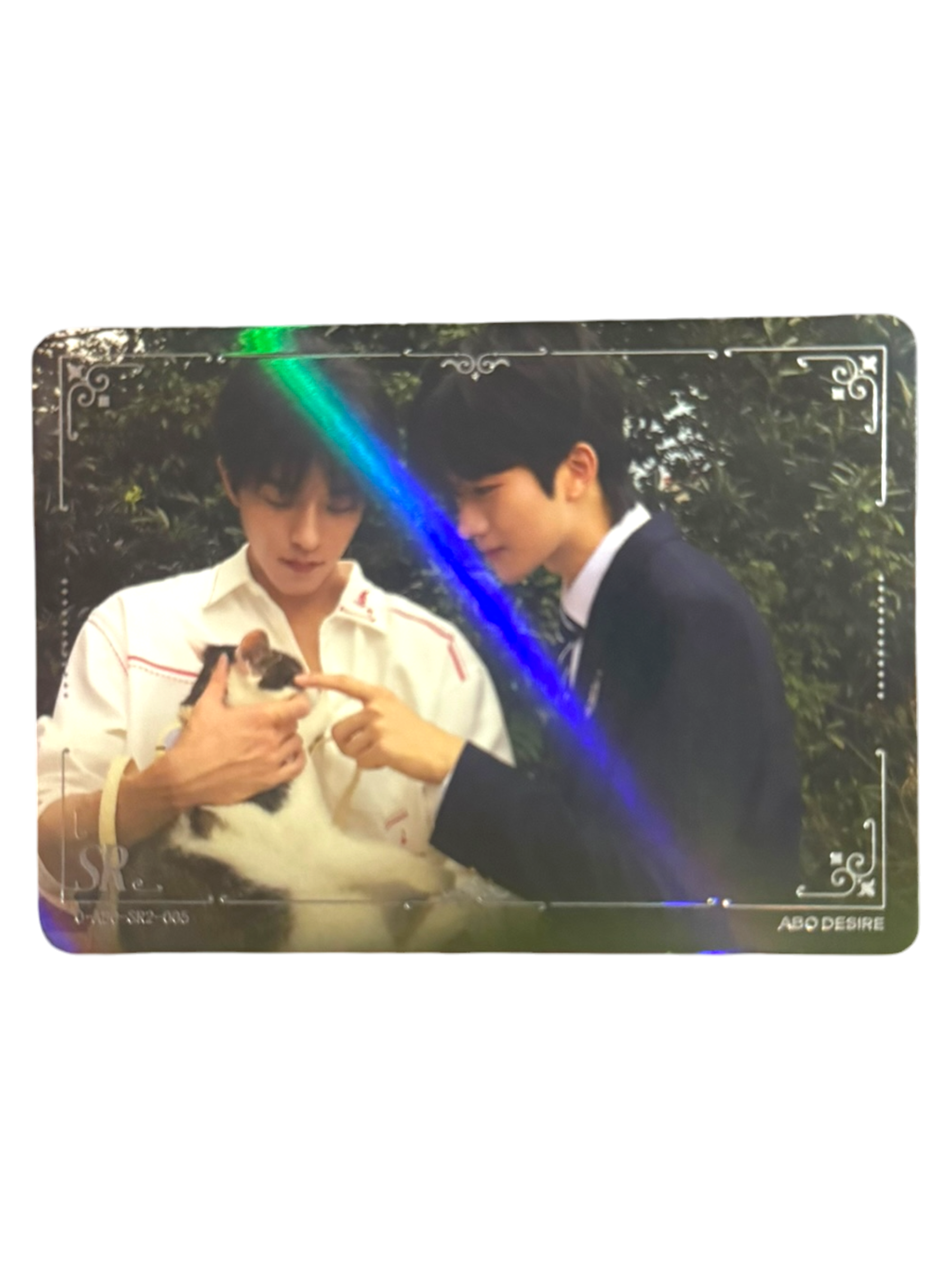 Desire Photocard
