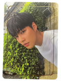 Gap Lost in the Jungle Photocard