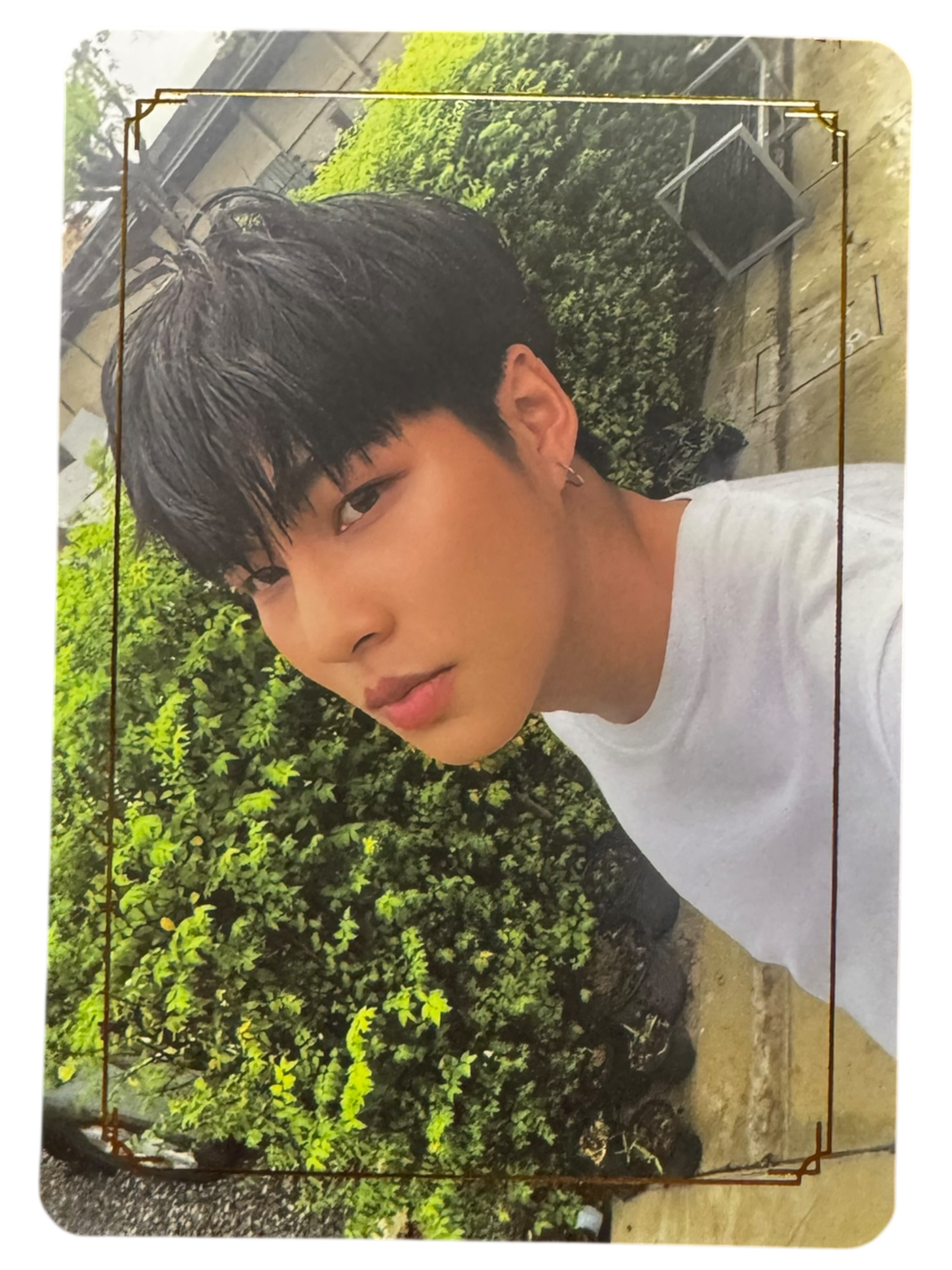 Gap Lost in the Jungle Photocard