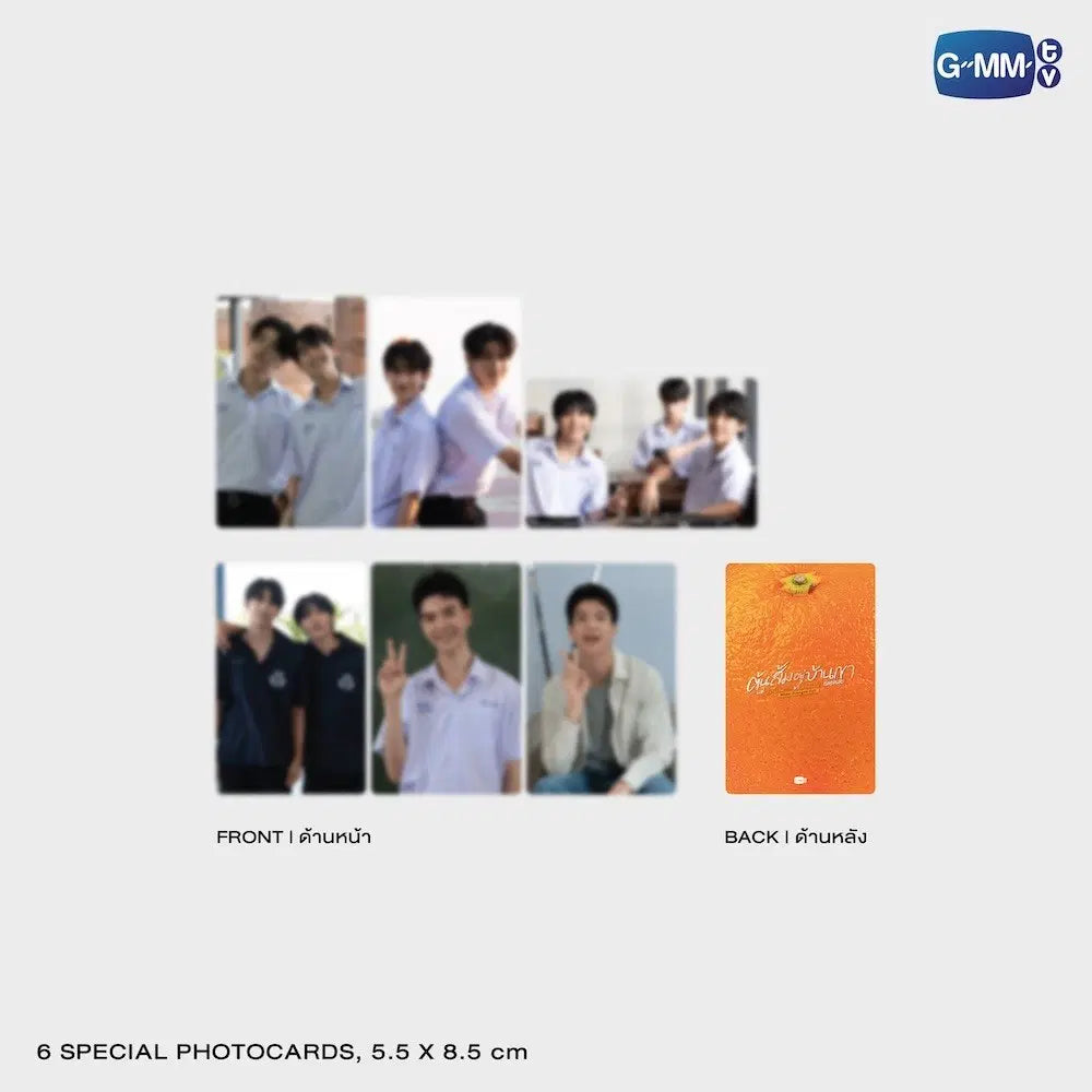 (Preorder) When Oranges Fall Memorial Boxset