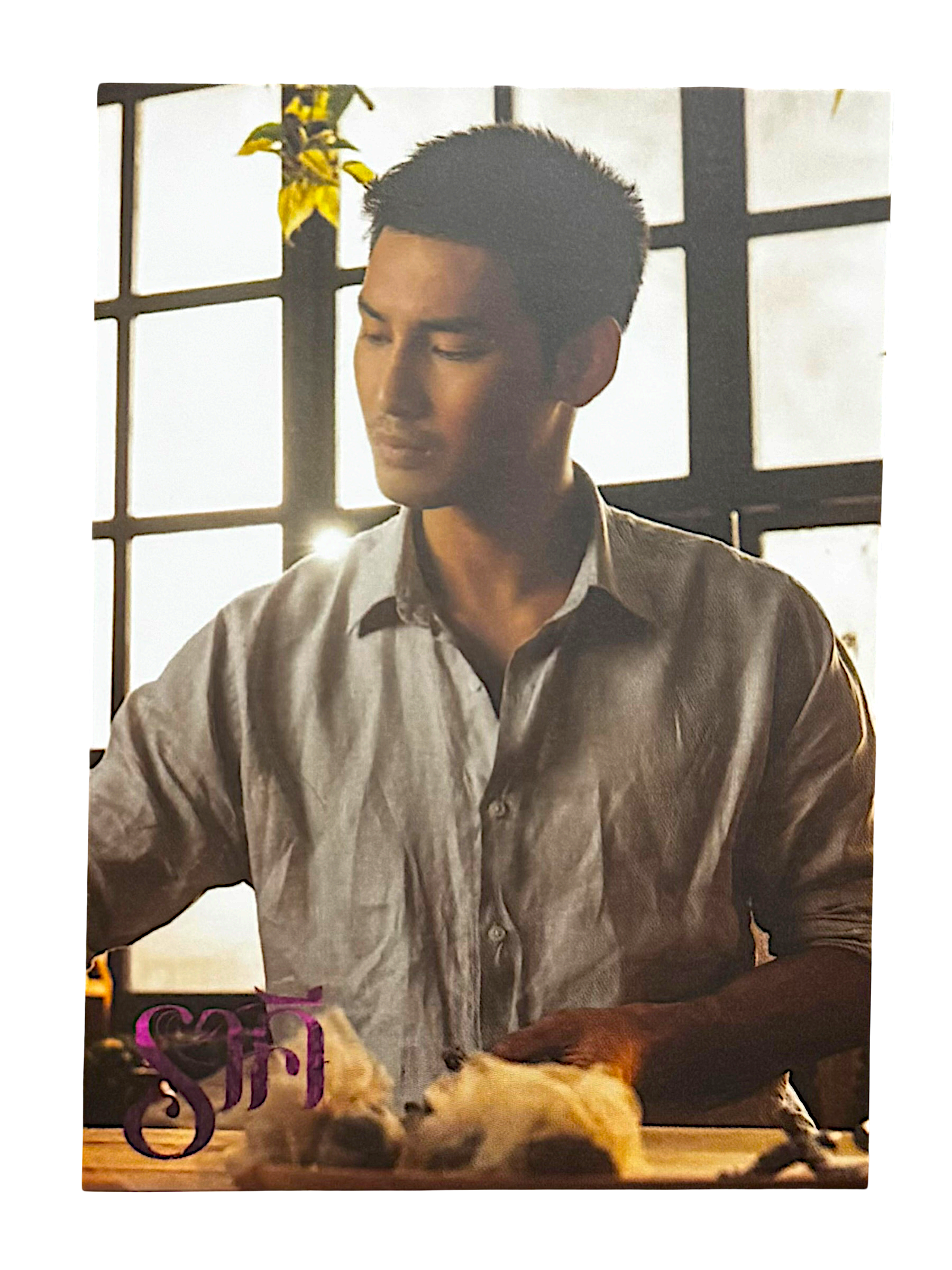 Apo The Stain Photocard