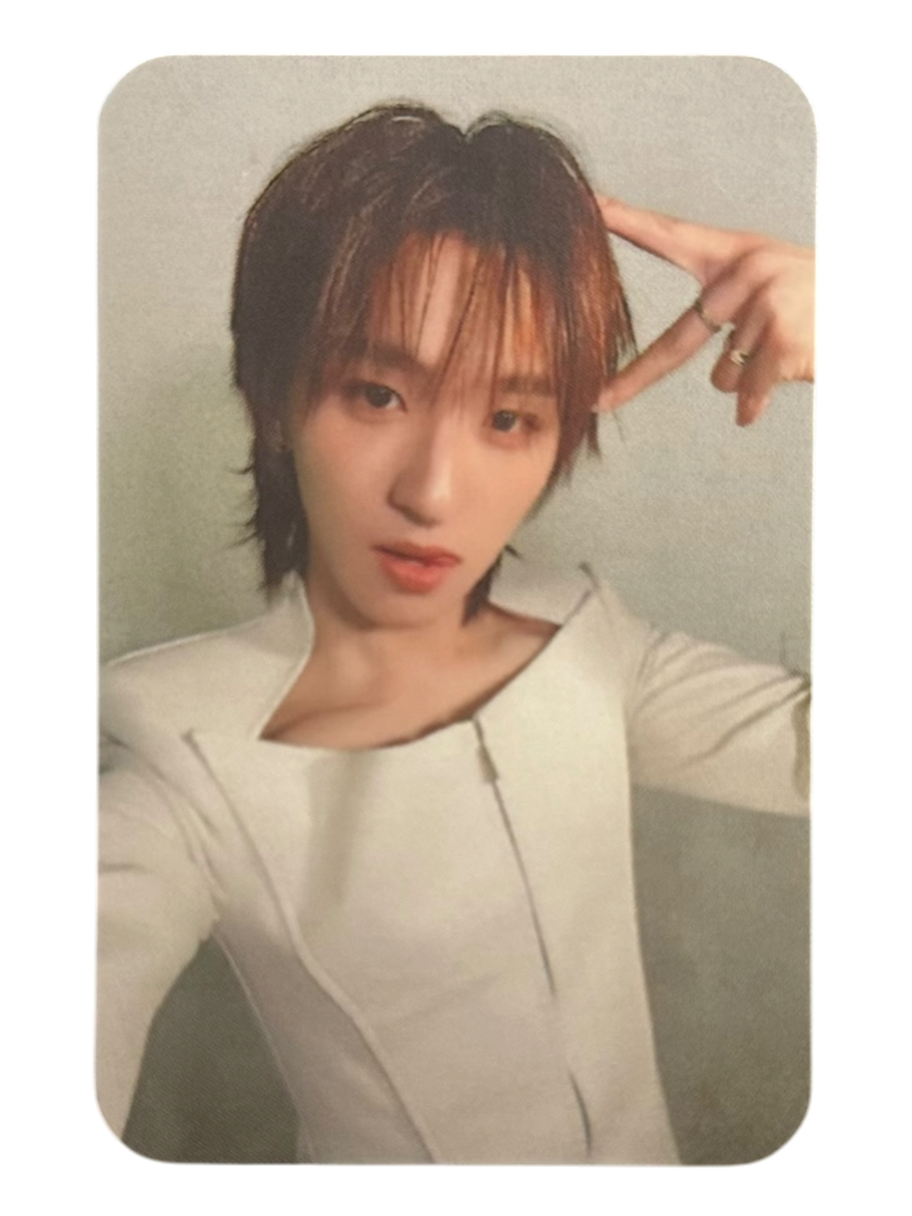 Kong DMD Land 3 Gen 3-4 Photocard