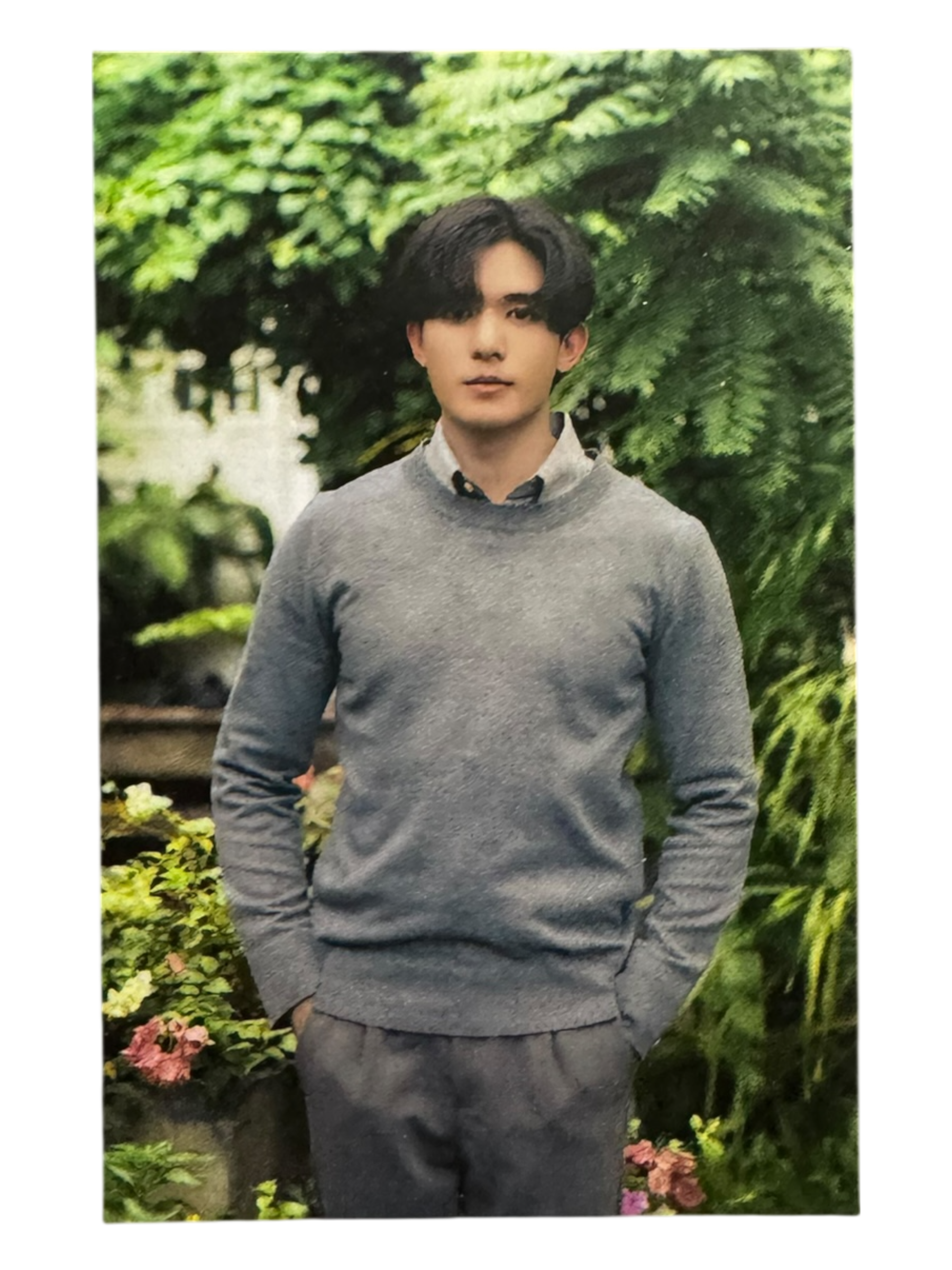 Net Last Royal Chapter Photocard