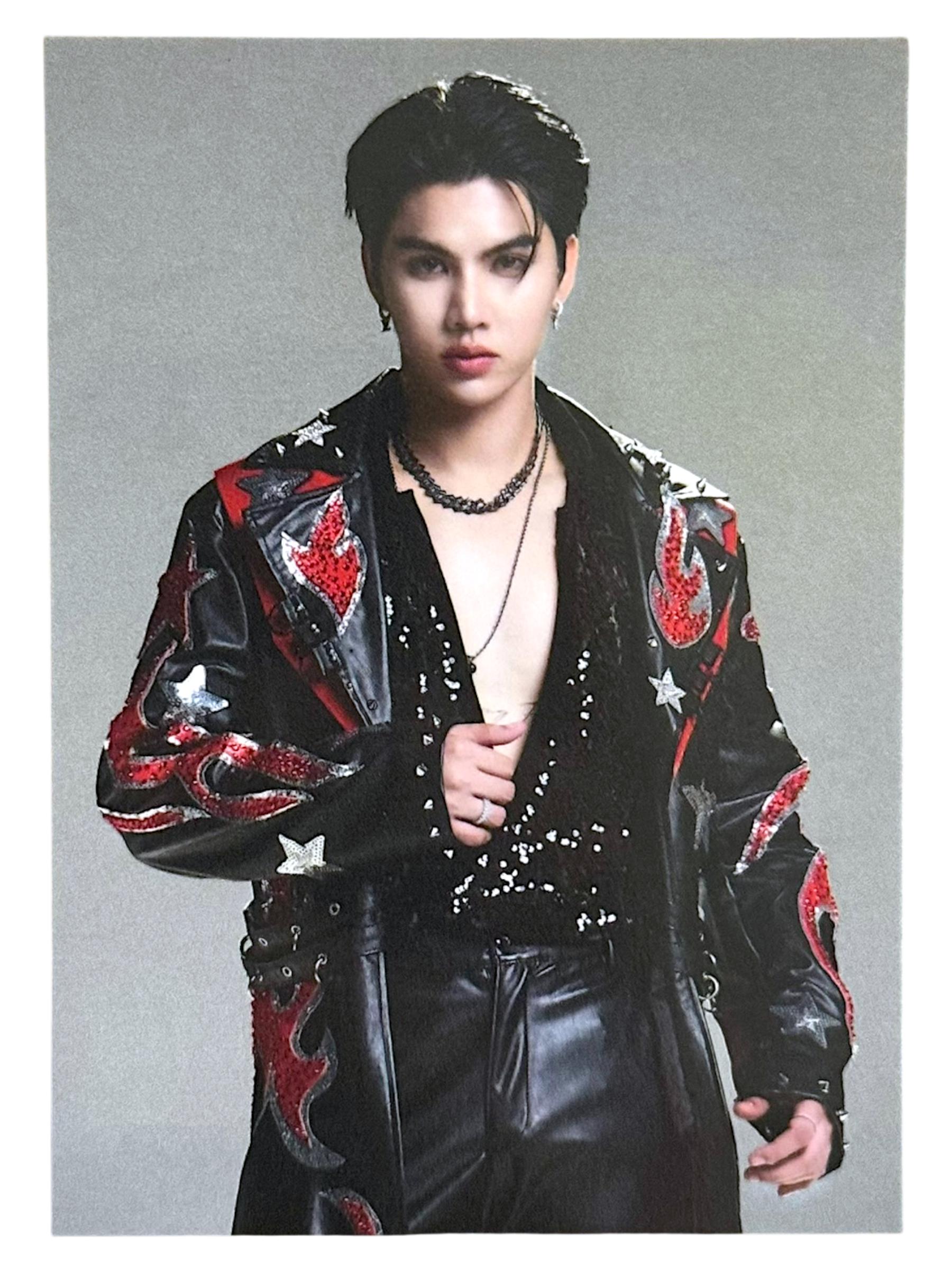 Fort Trofi Field Fest Japan Photocard