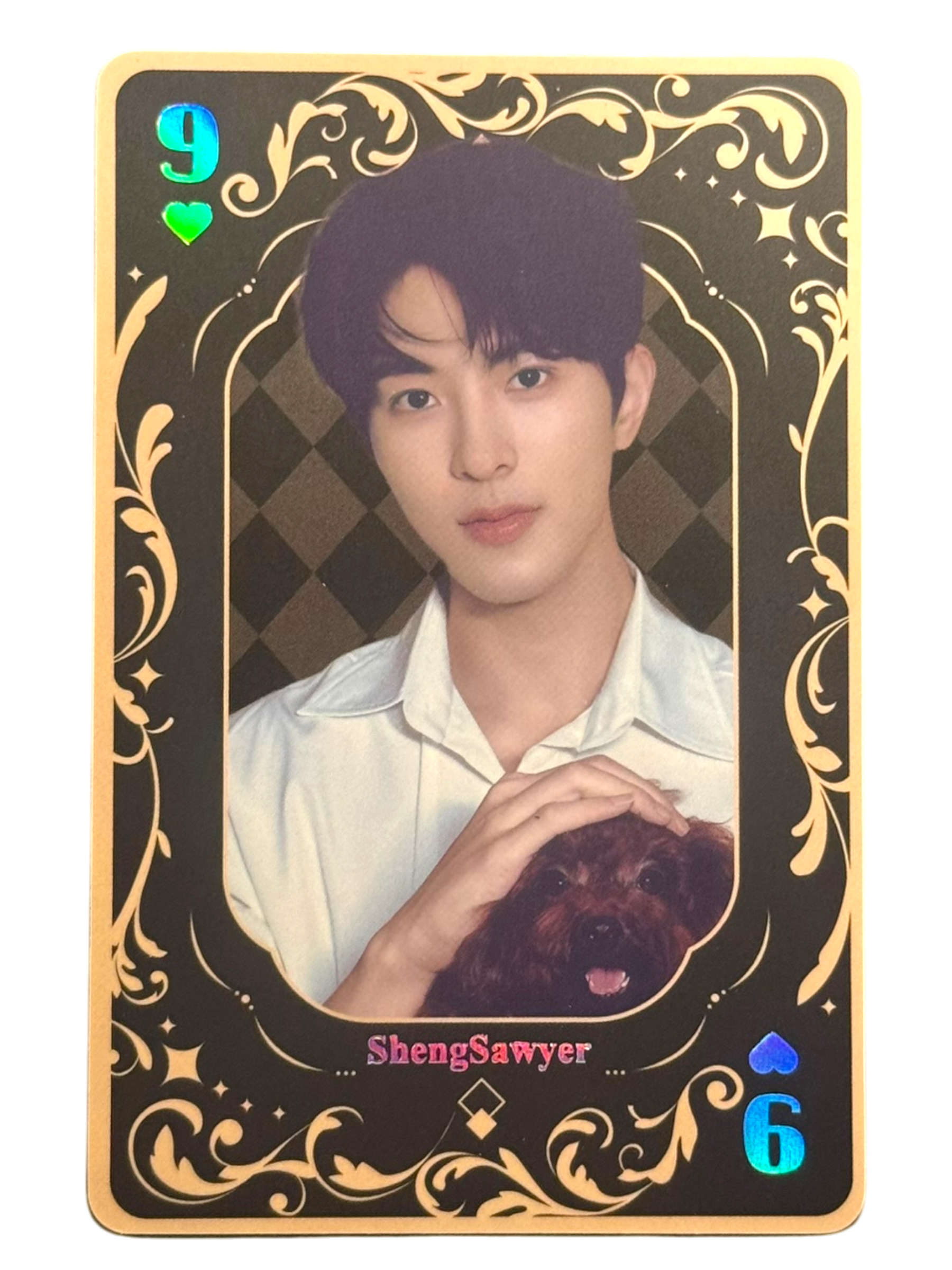 ABO Desire Deck Photocard