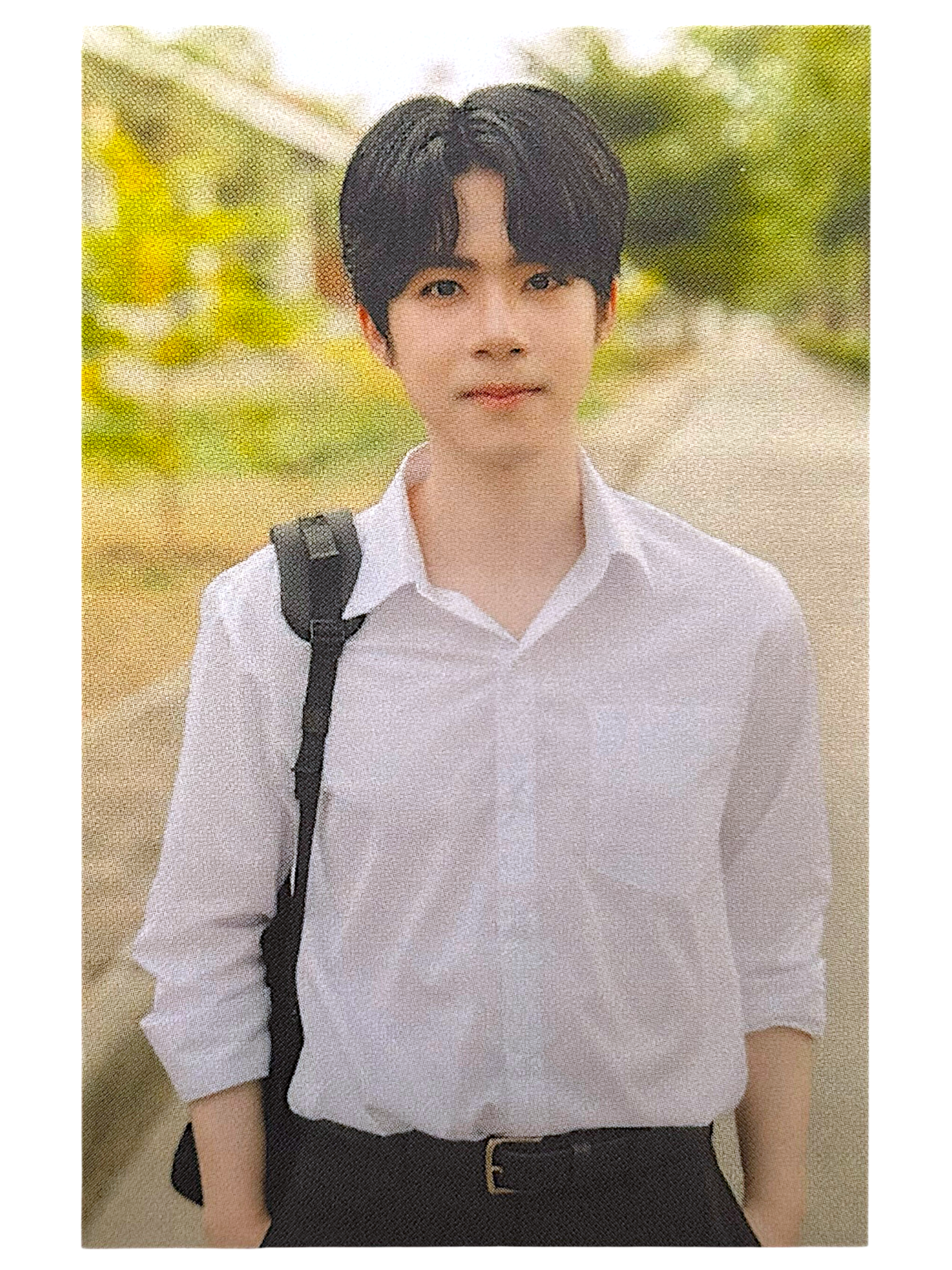 JJ Love Upon a Time Series Photocard