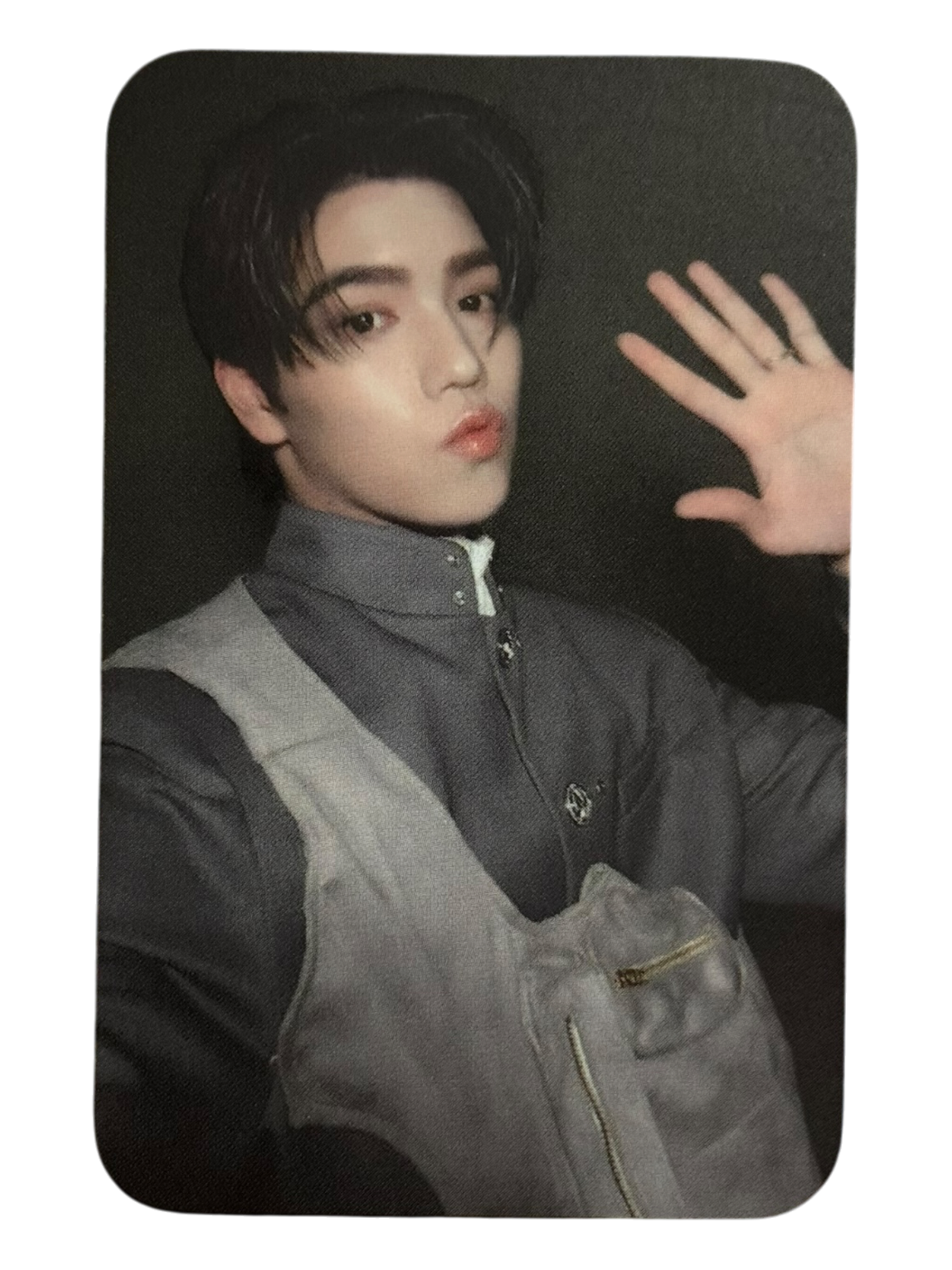Pete DMD Land 3 Selfie Photocard