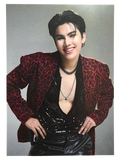 Fort Trofi Field Fest Japan Photocard