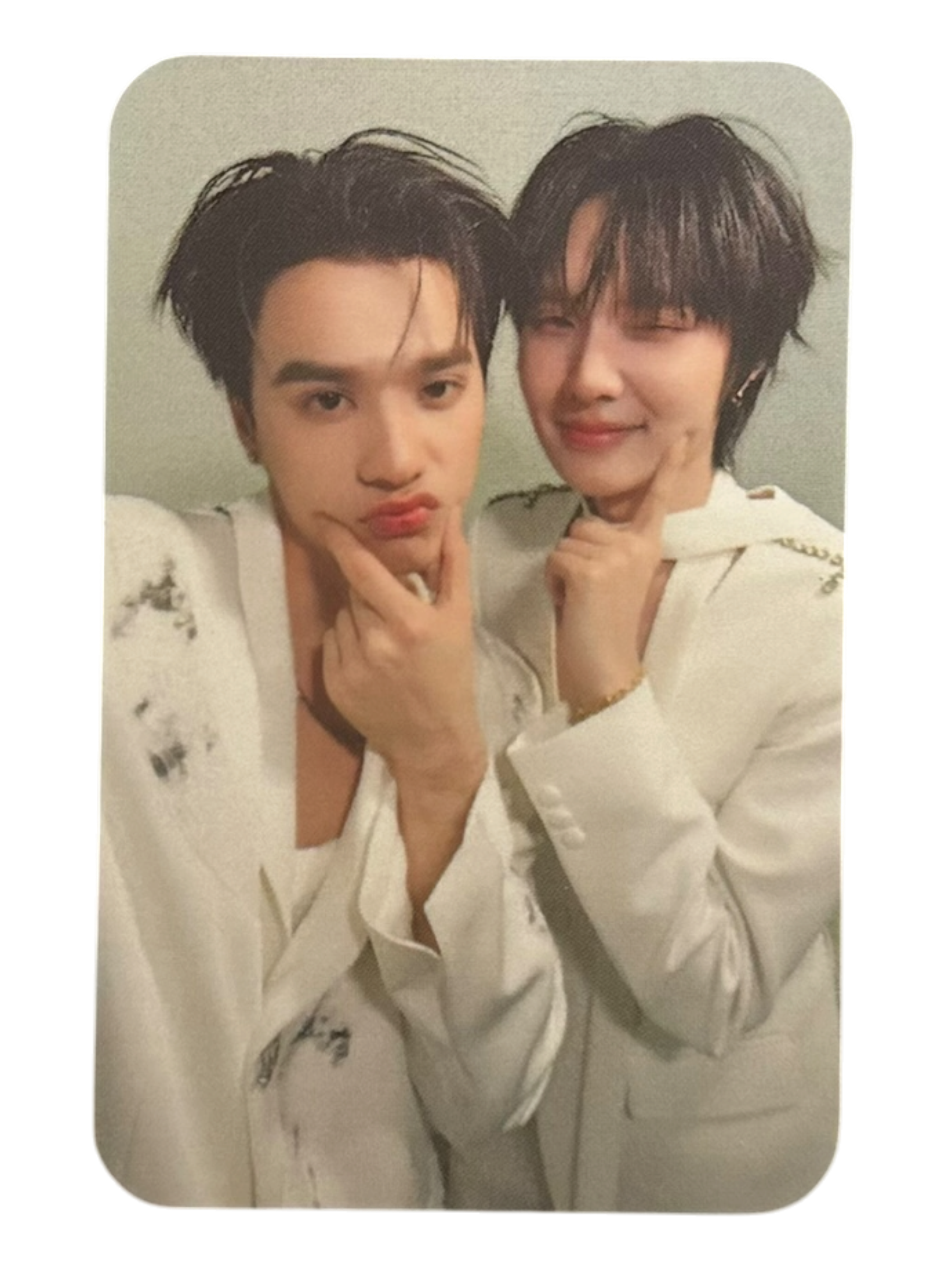DMD Land 3 Partner Selfie Photocard
