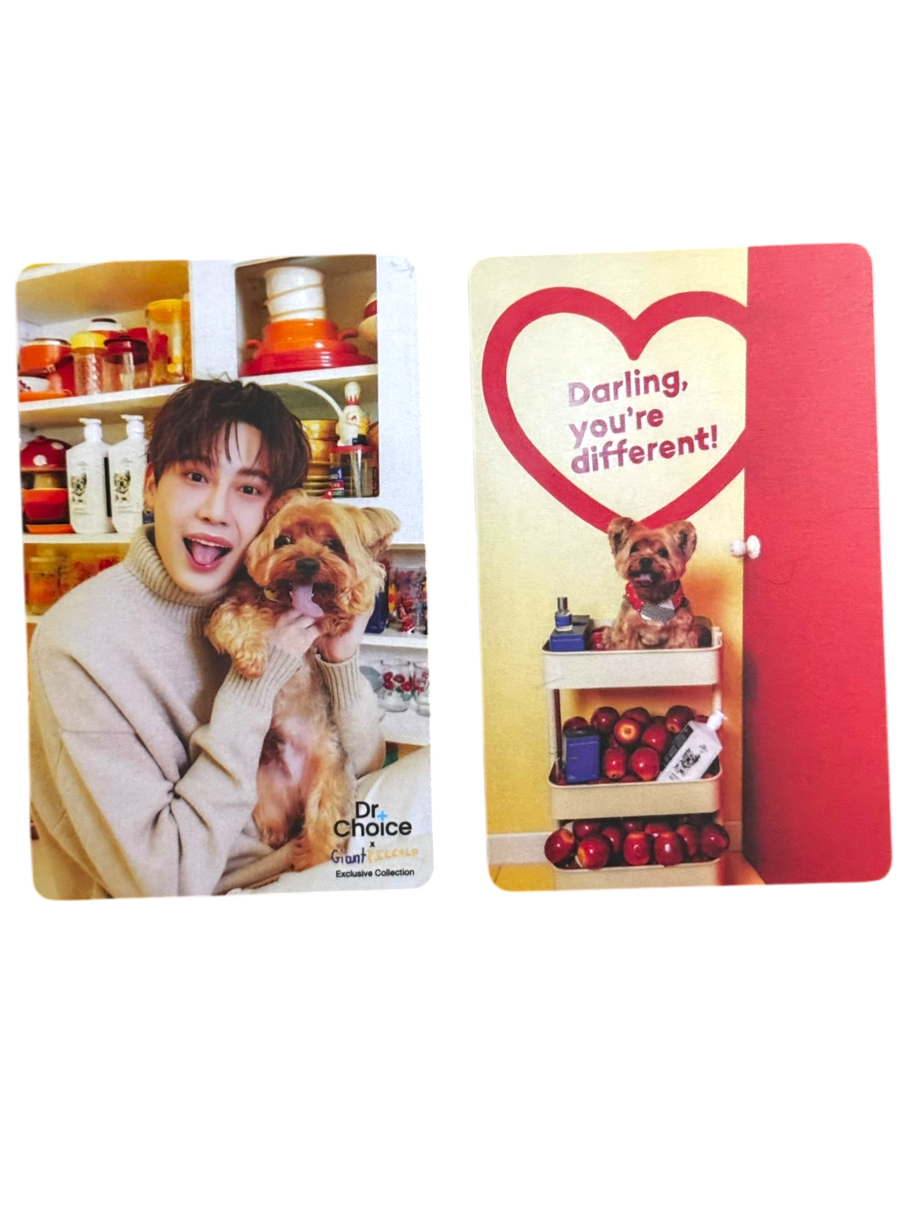 Boun Special Dr. Choice Photocard