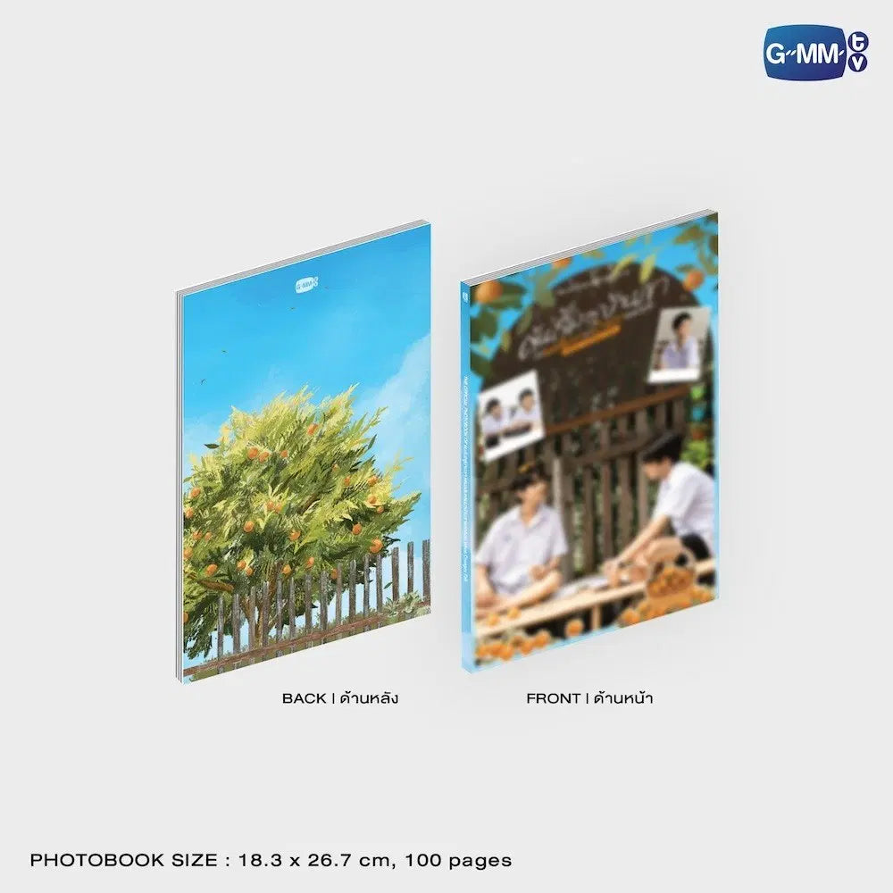 (Preorder) When Oranges Fall Memorial Boxset
