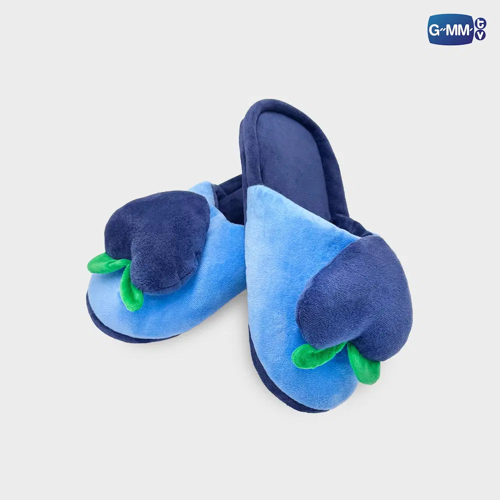 Me and Thee Slippers - Peach Vers