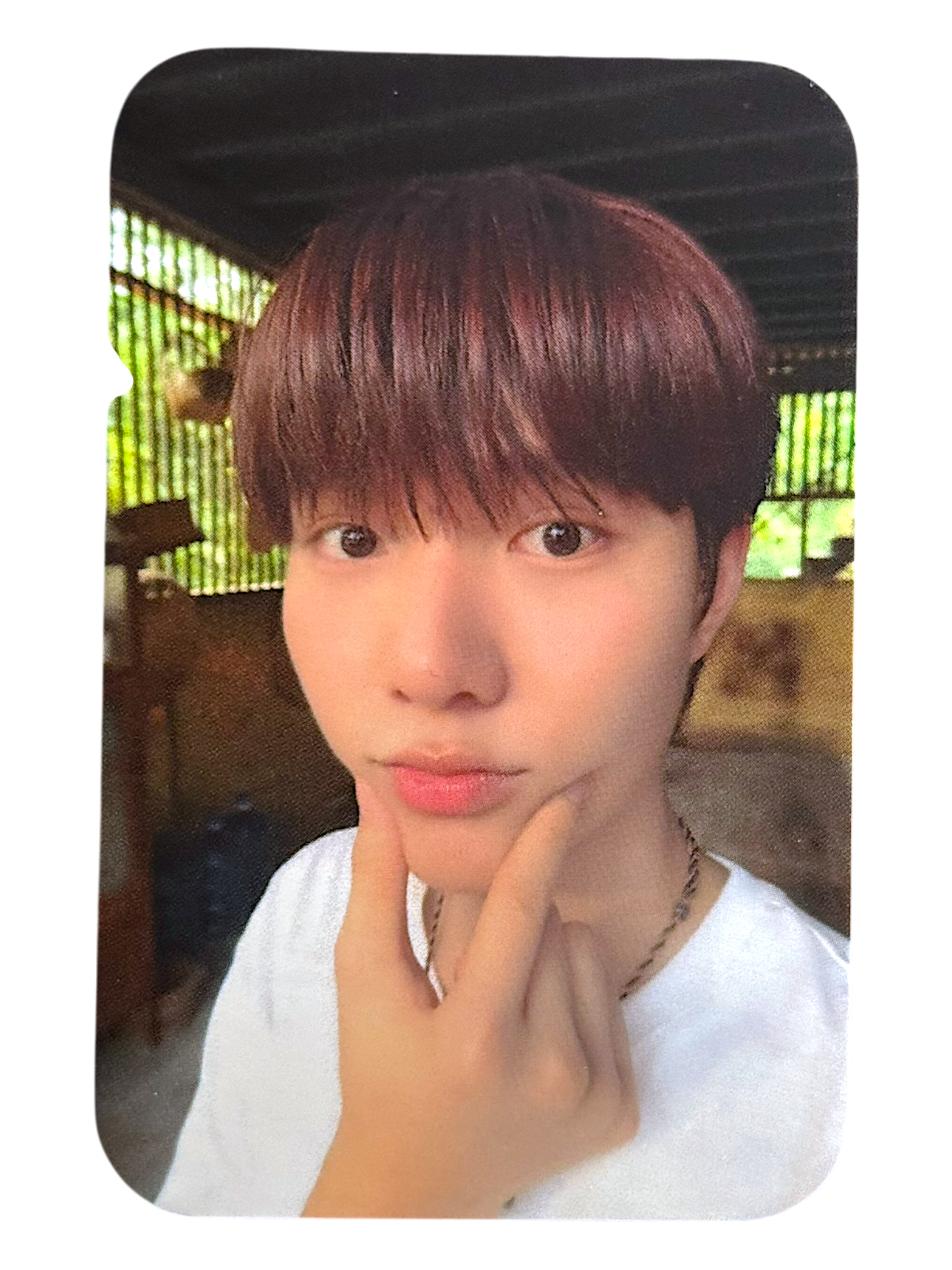 Namping Khemjira Final Blessing Photocard