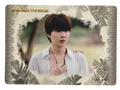 Namping Khemjira Vancard Photocard