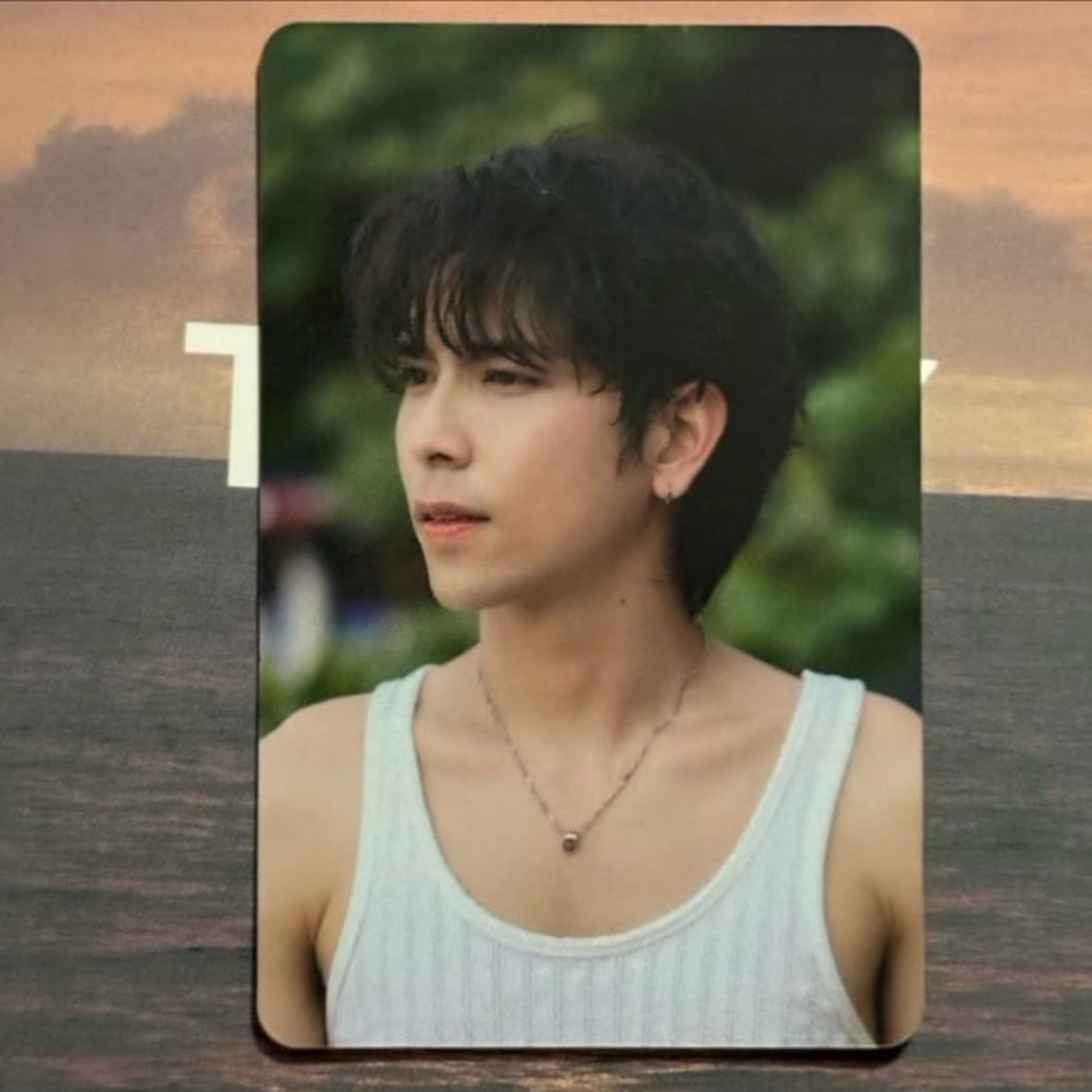Tommy Mr. Sea Photocard