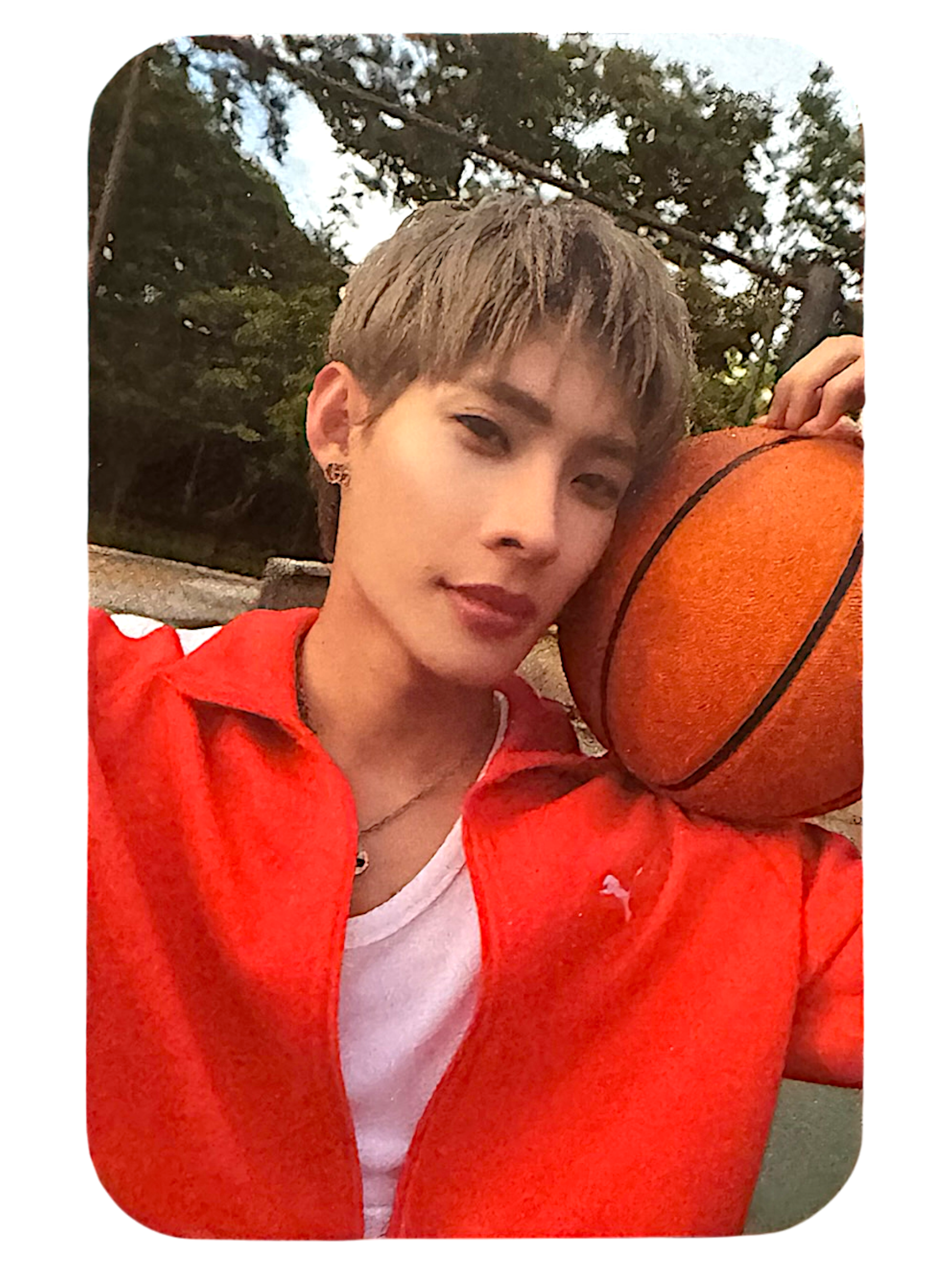 Tutor Beside You Photocard