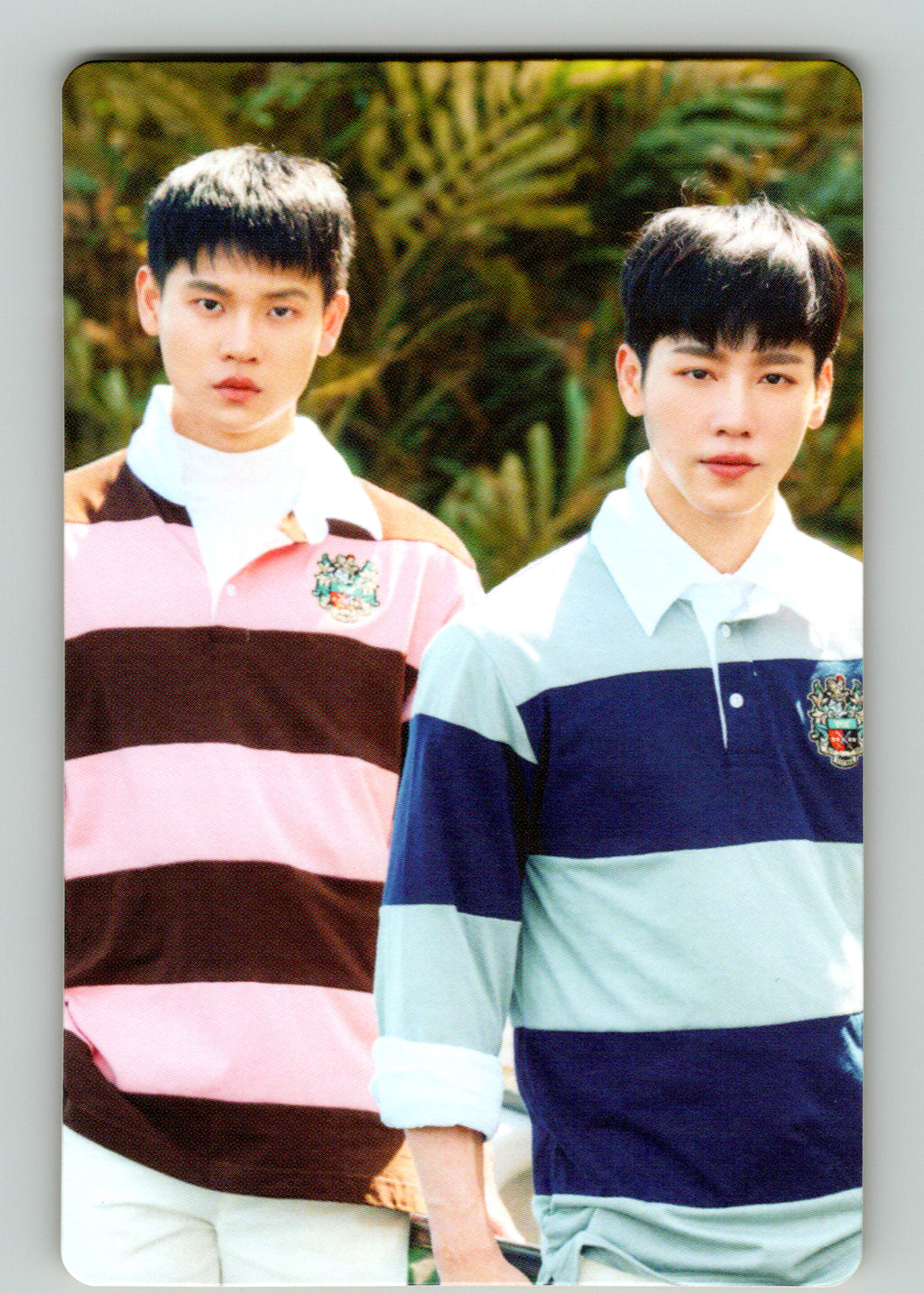 YinWar 2nd Fansign Photocards