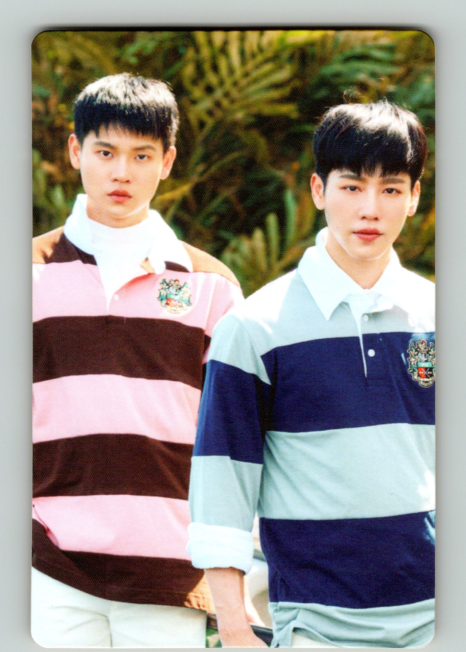 YinWar 2nd Fansign Photocards