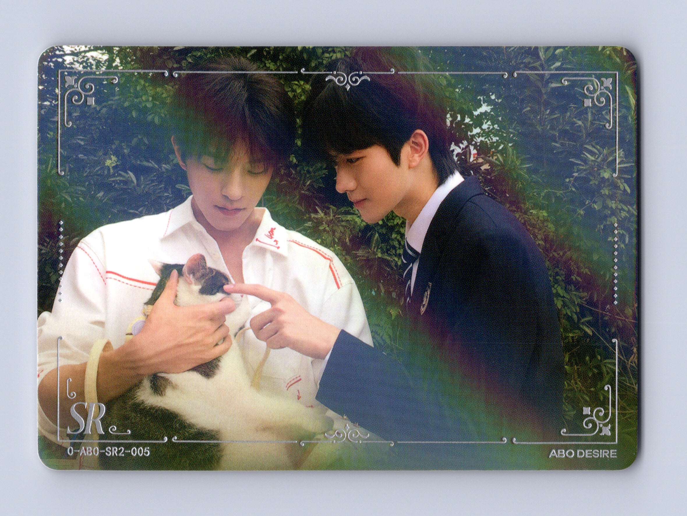ABO Desire Photocard