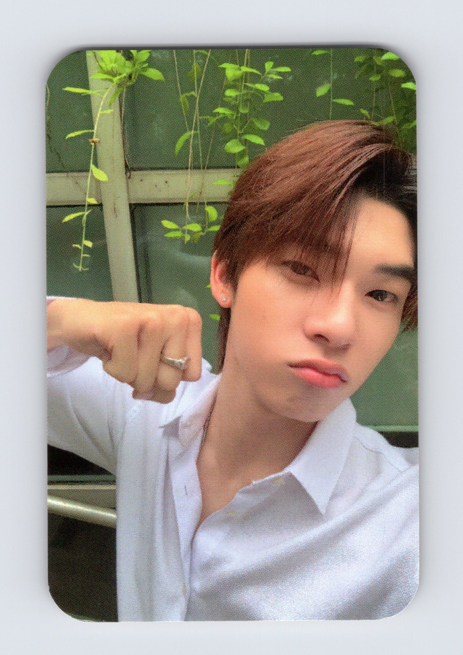 Teetee Friend Benefit Selfie Photocard
