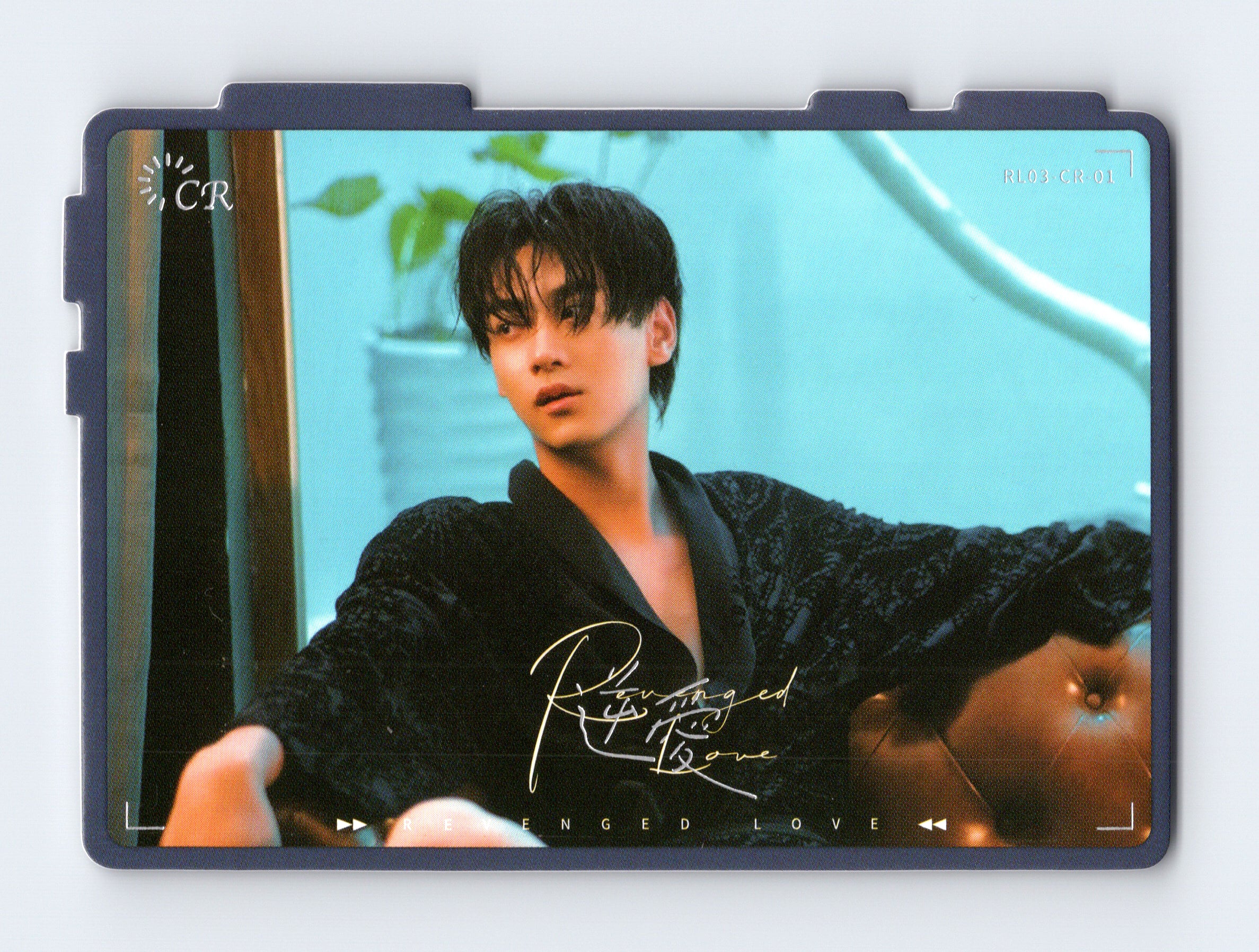 Revenged Love Photocard