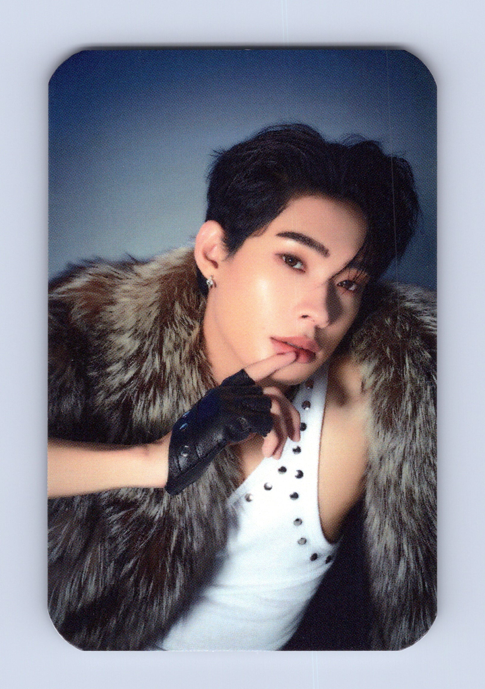 Tutor Dexx Photocard