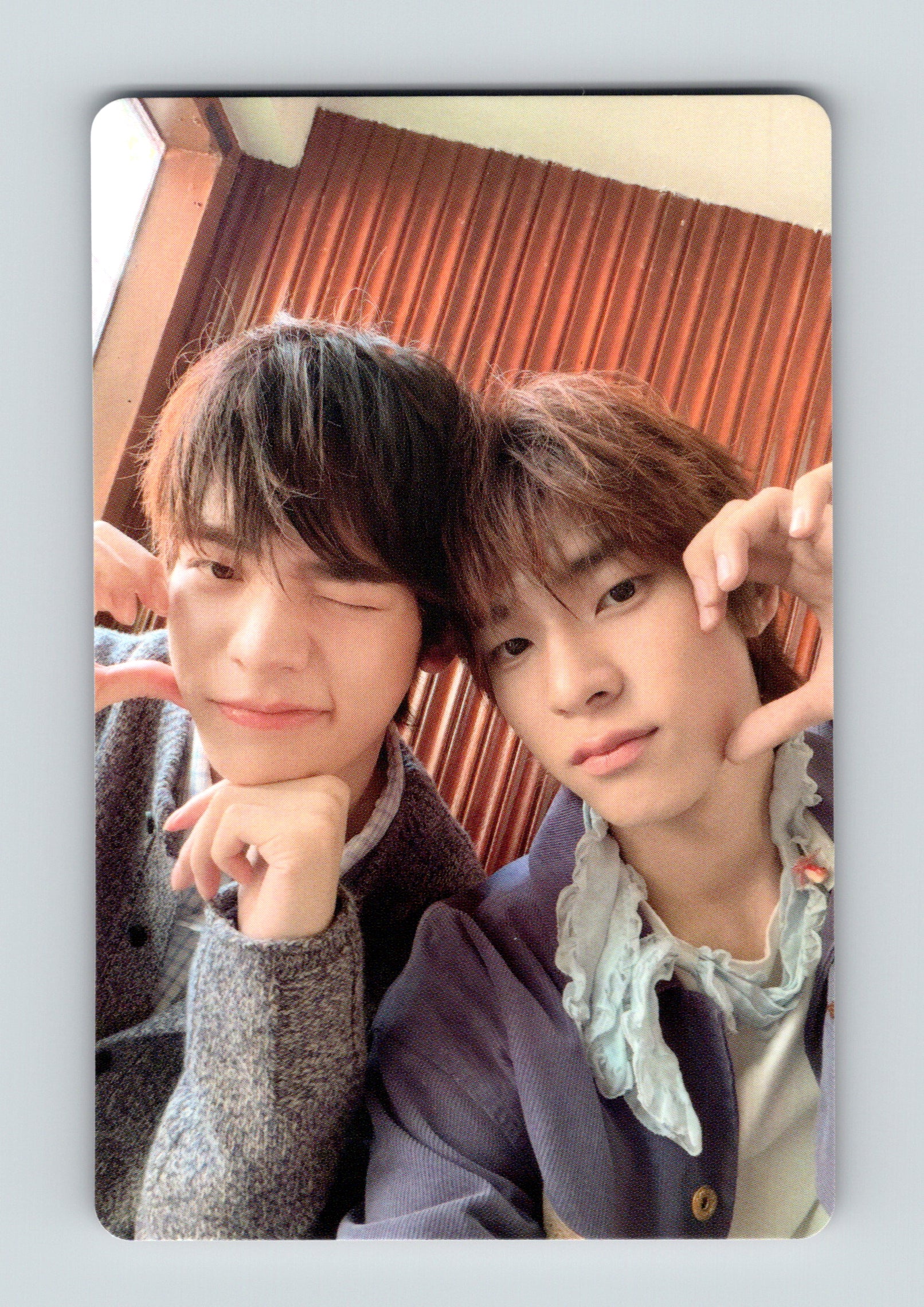 TeeteePor Bella Magazine Photocard