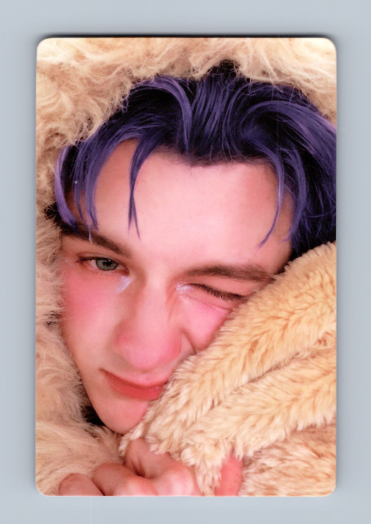 Leon Gelboys 2 Photocard