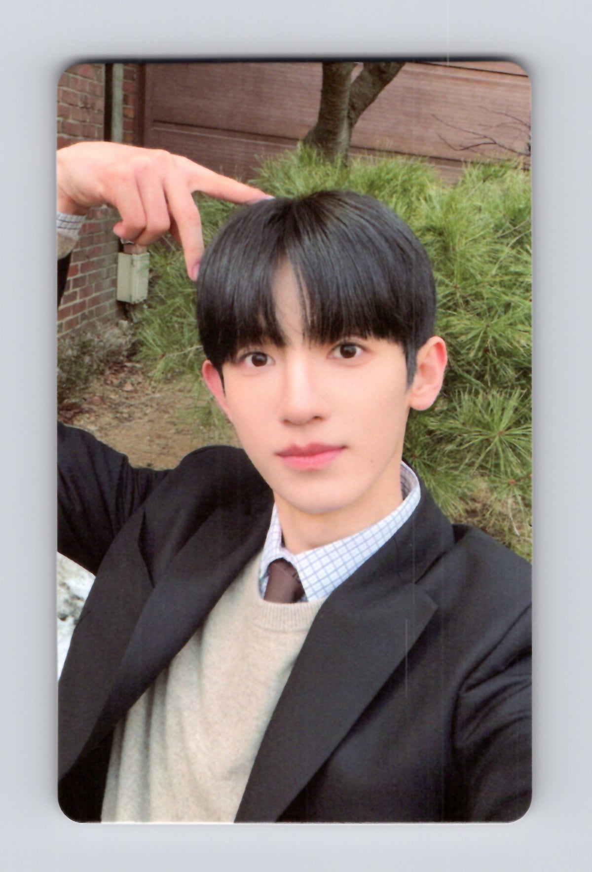 Siwoo The Prosecutor’s Proposal Photocard