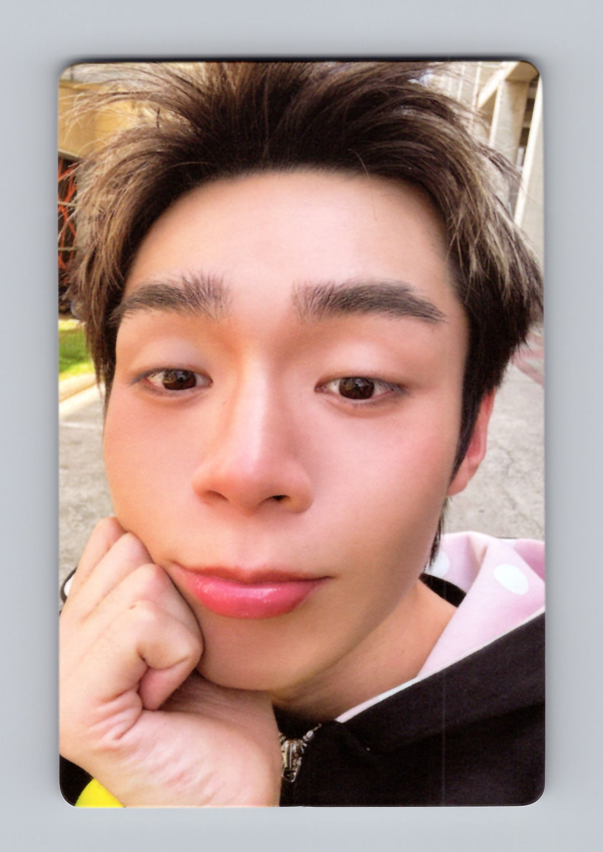PJ Gelboys 2 Photocard