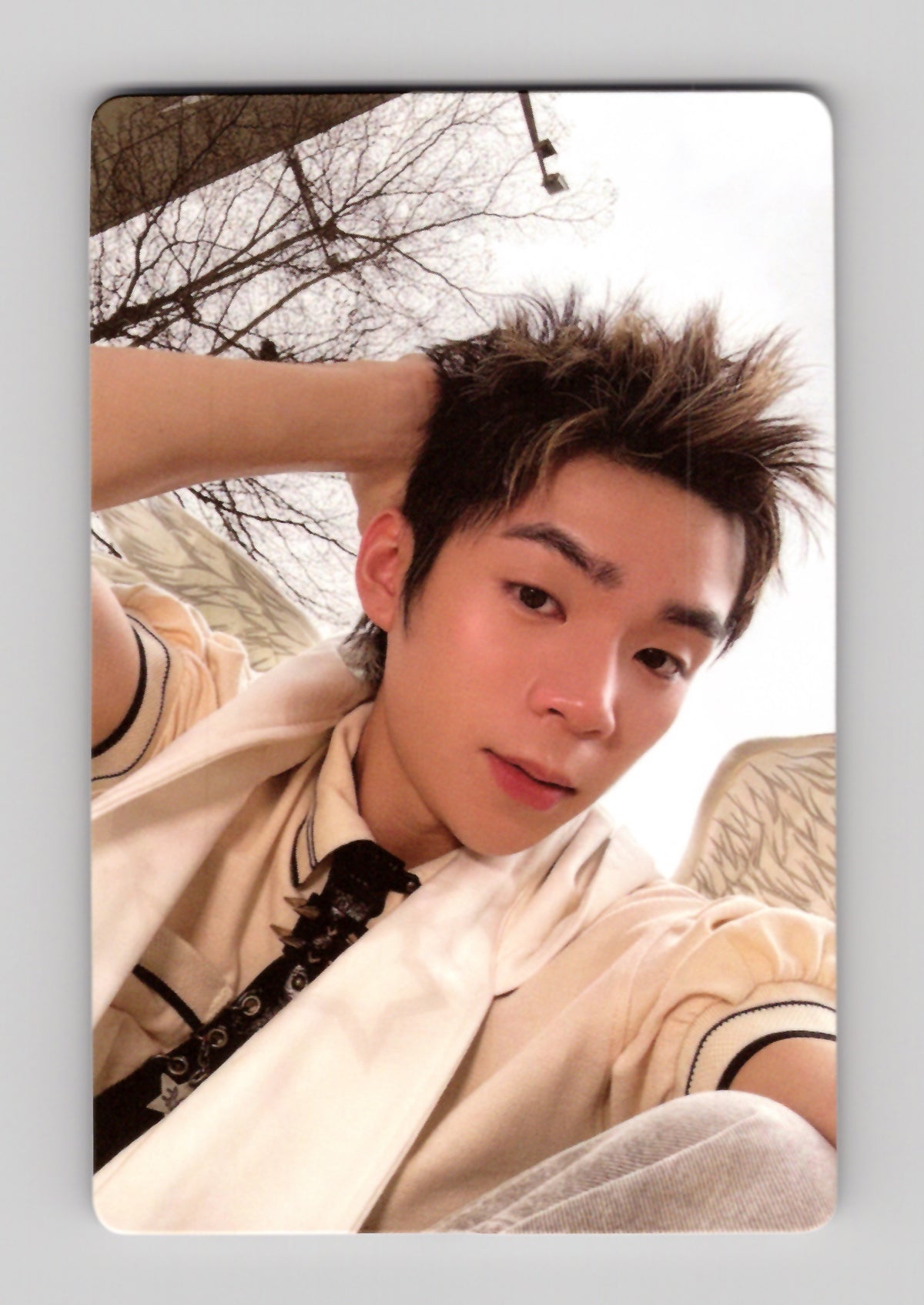 PJ Gelboys 2 Photocard
