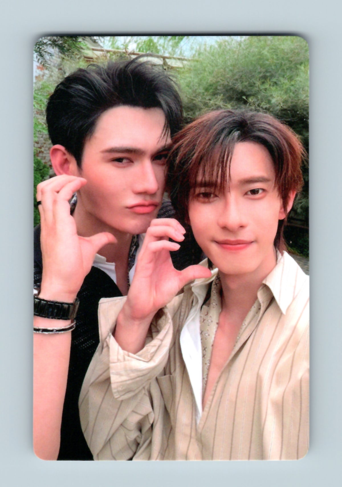 PoohPavel Glory Photocard