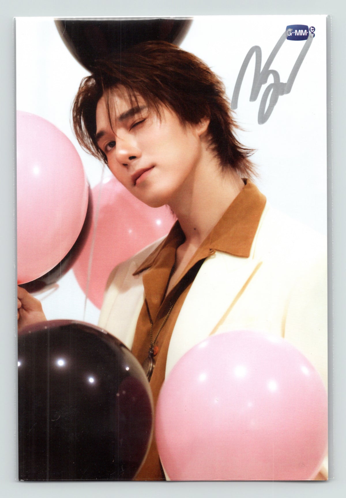 Nani S to the N Postcard Signed